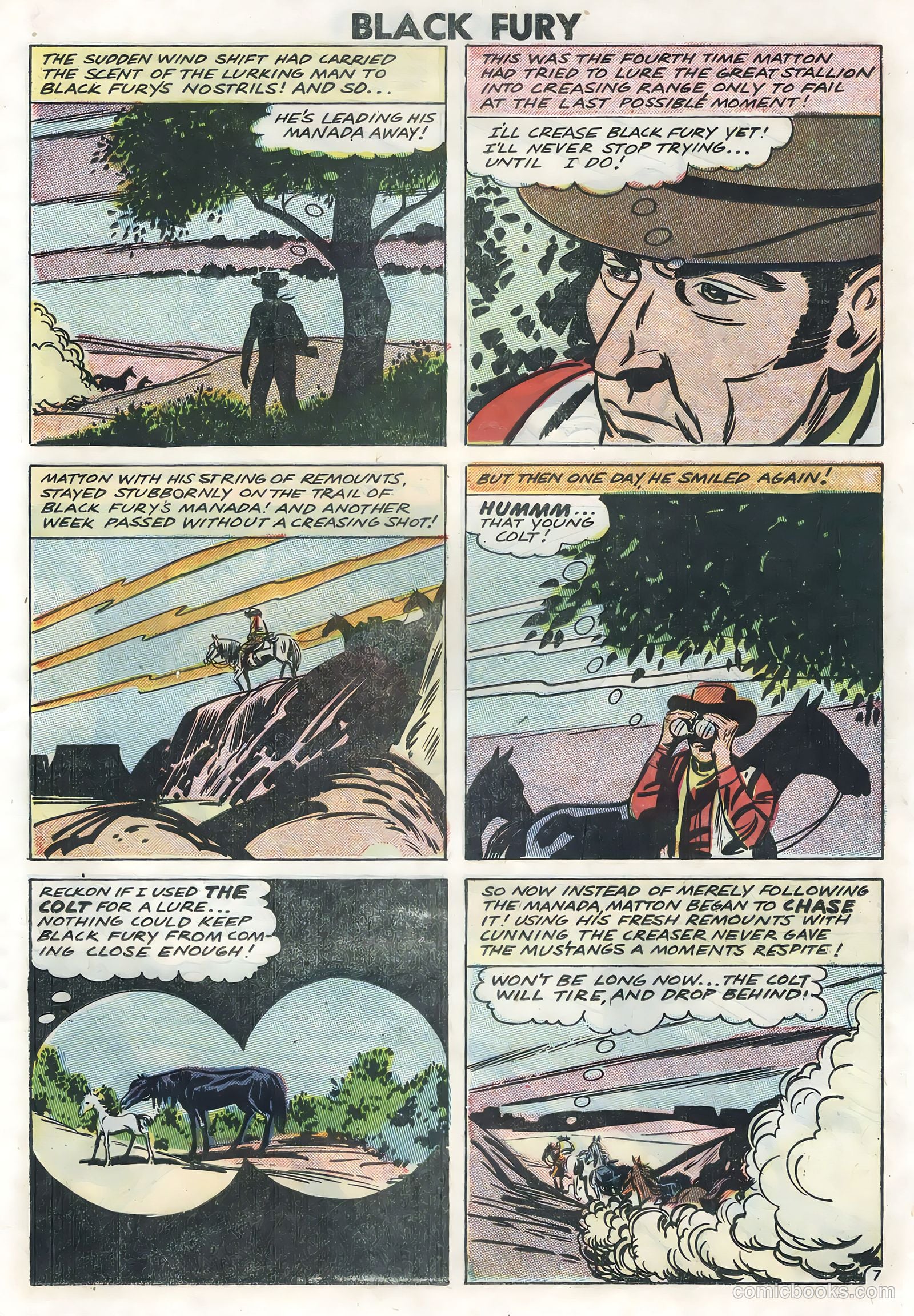 Black Fury #14 — page 19 of 36