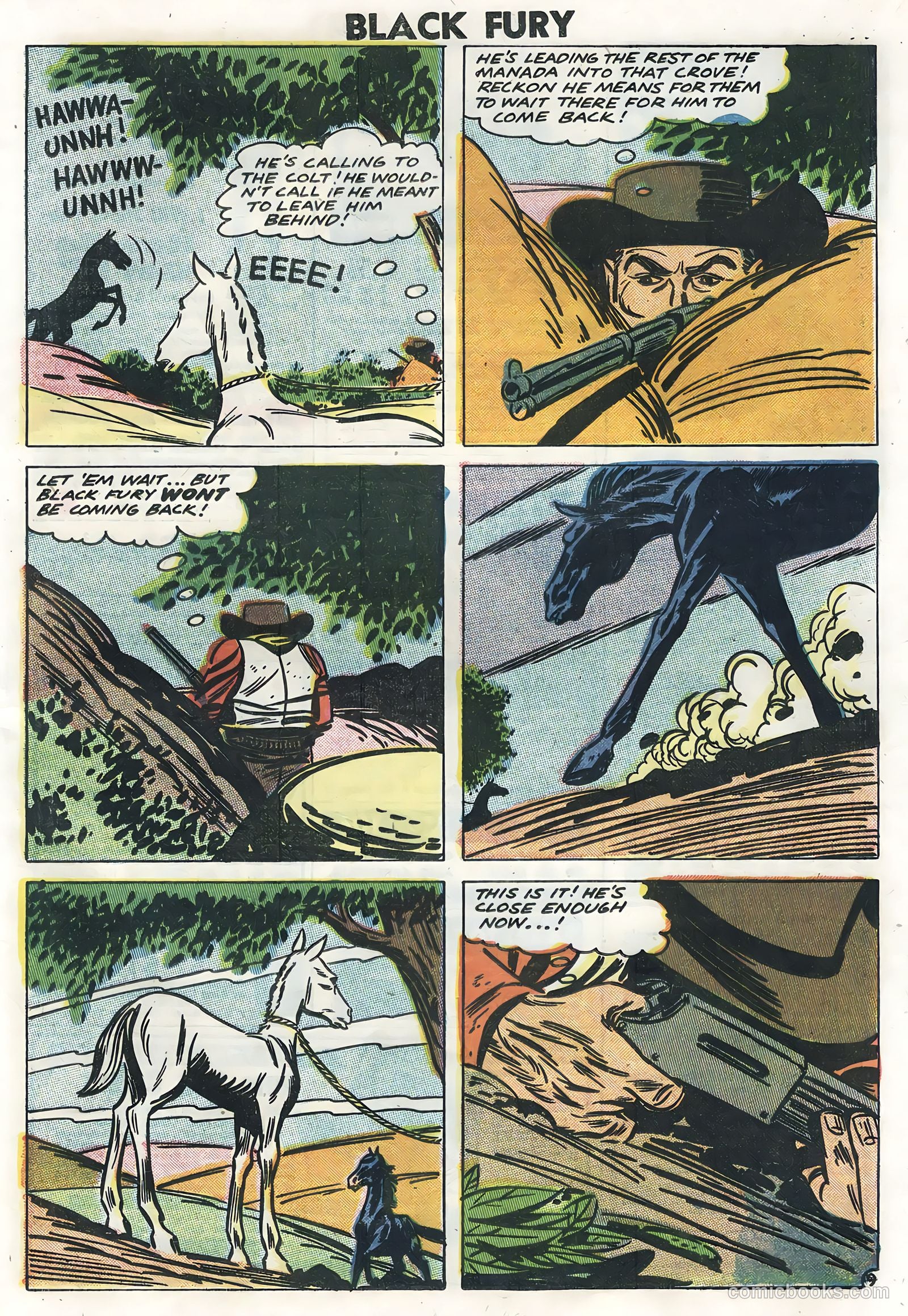 Black Fury #14 — page 21 of 36