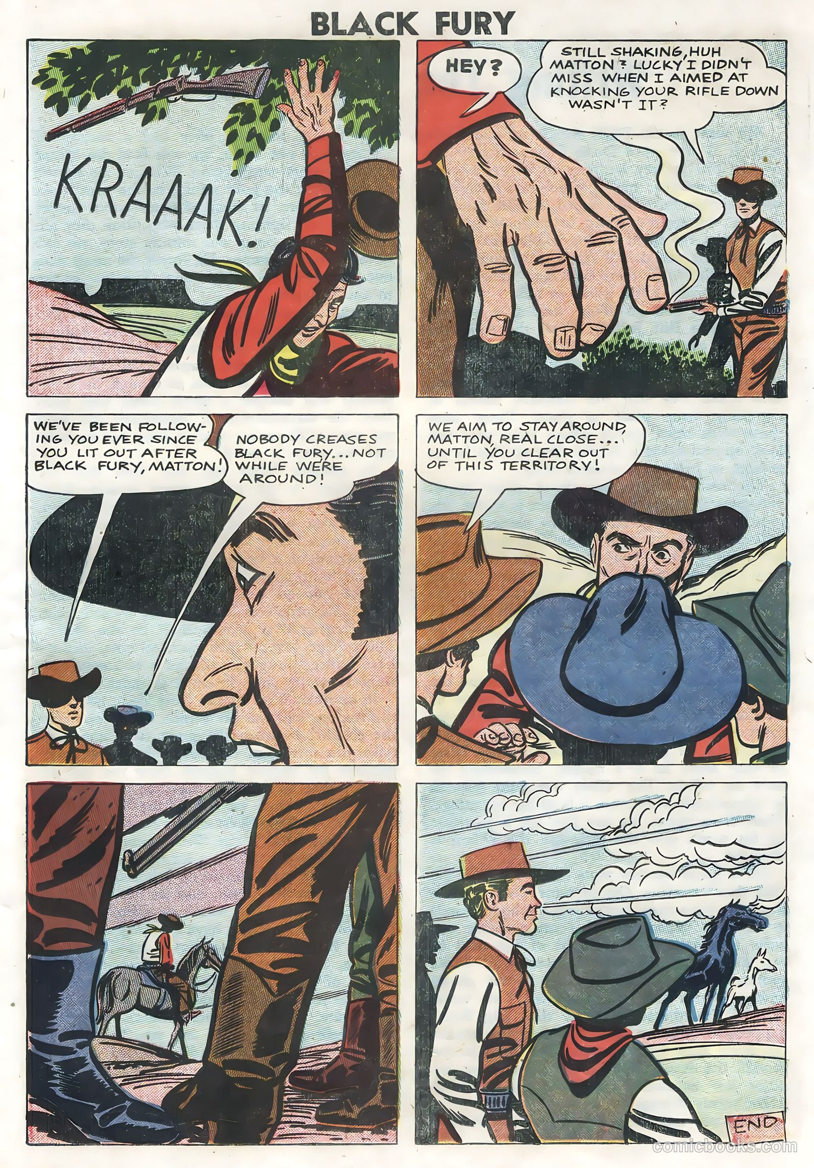 Black Fury #14 — page 23 of 36