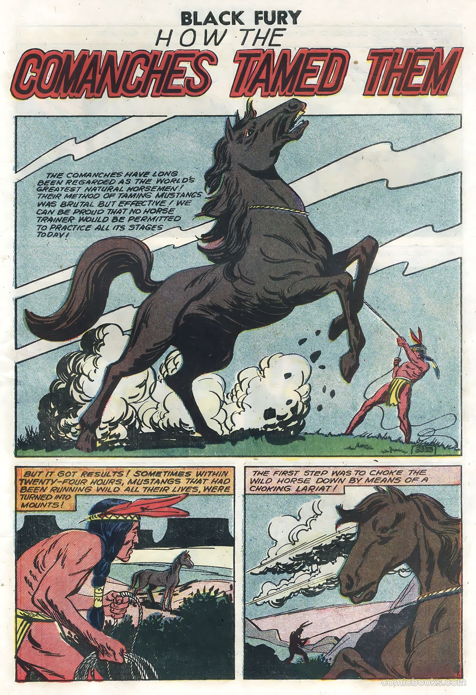 Black Fury #14 — page 27 of 36