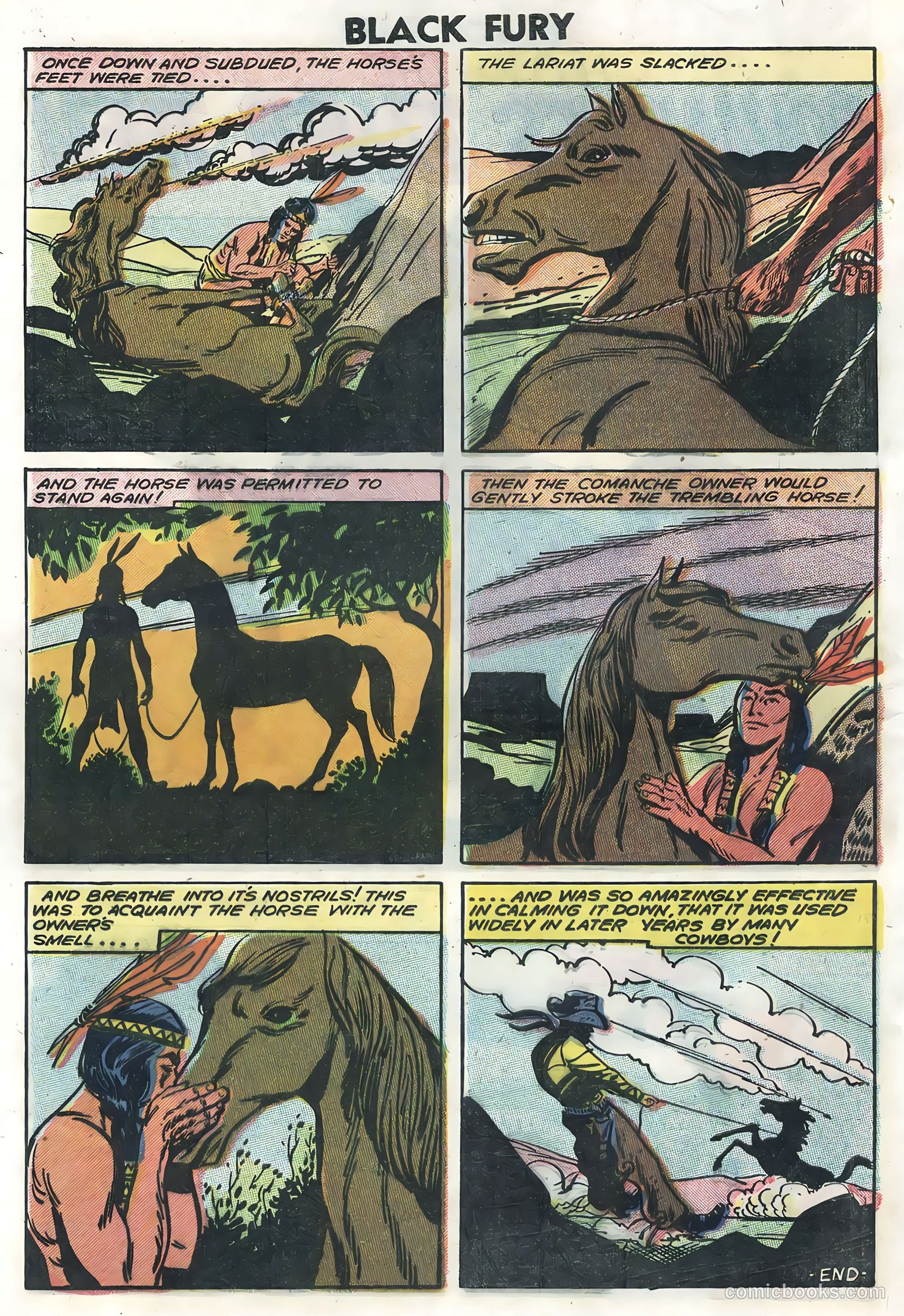 Black Fury #14 — page 28 of 36