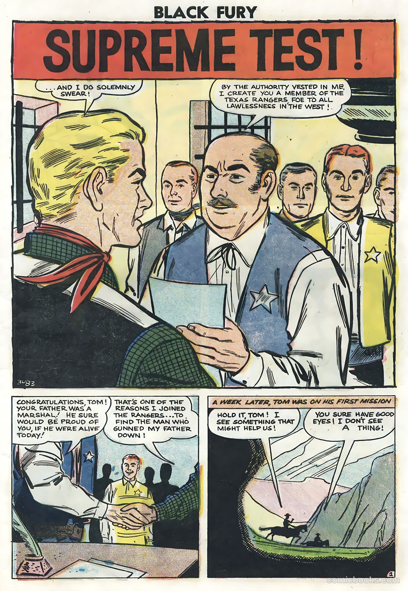 Black Fury #14 — page 29 of 36