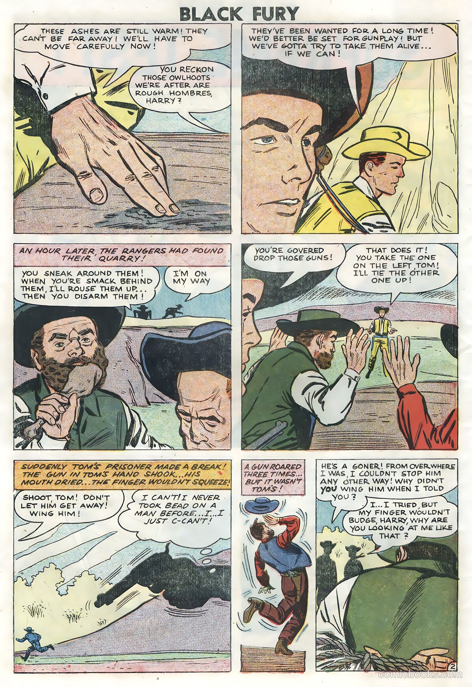 Black Fury #14 — page 30 of 36