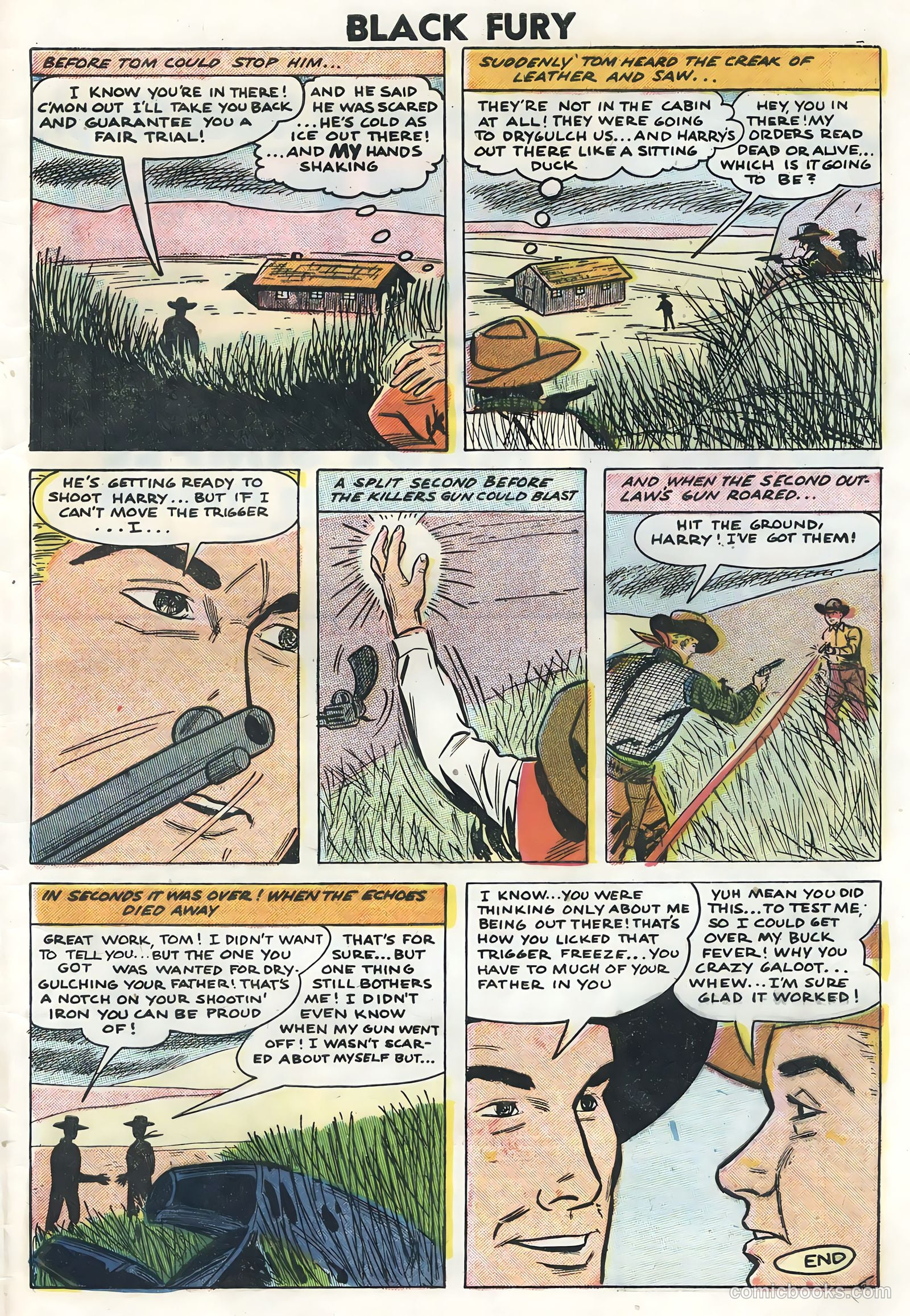 Black Fury #14 — page 33 of 36