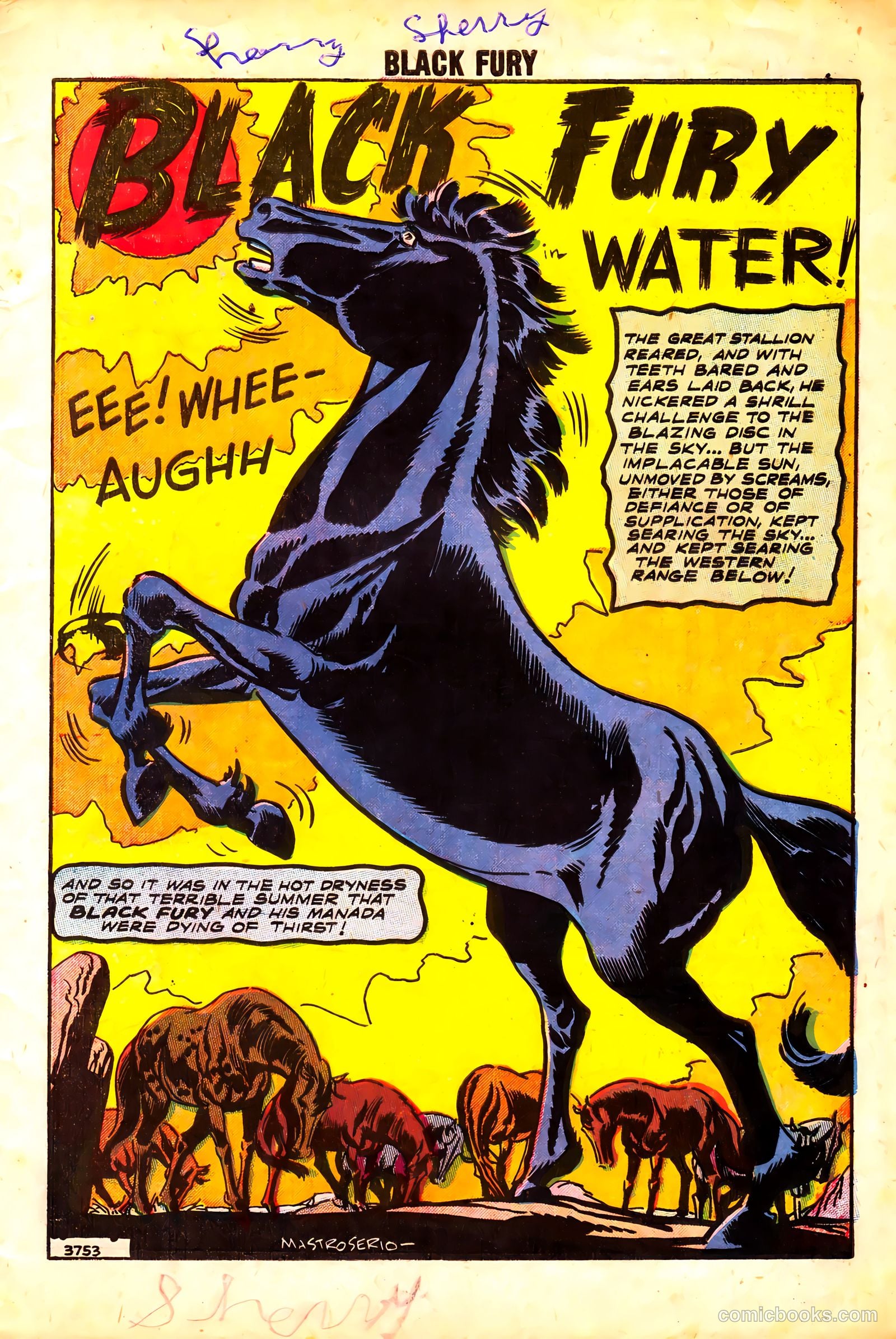 Black Fury #15 — page 3 of 36