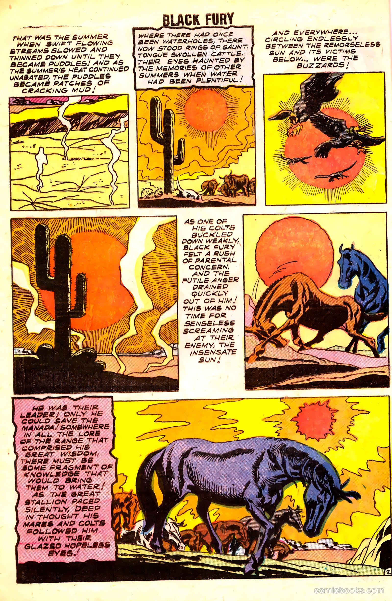Black Fury #15 — page 4 of 36
