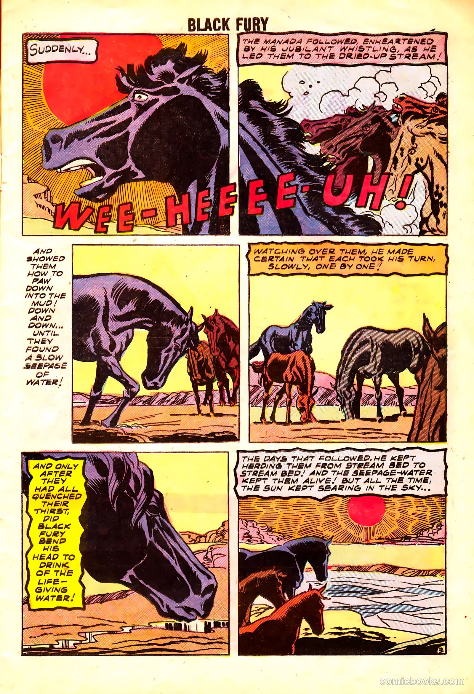 Black Fury #15 — page 5 of 36