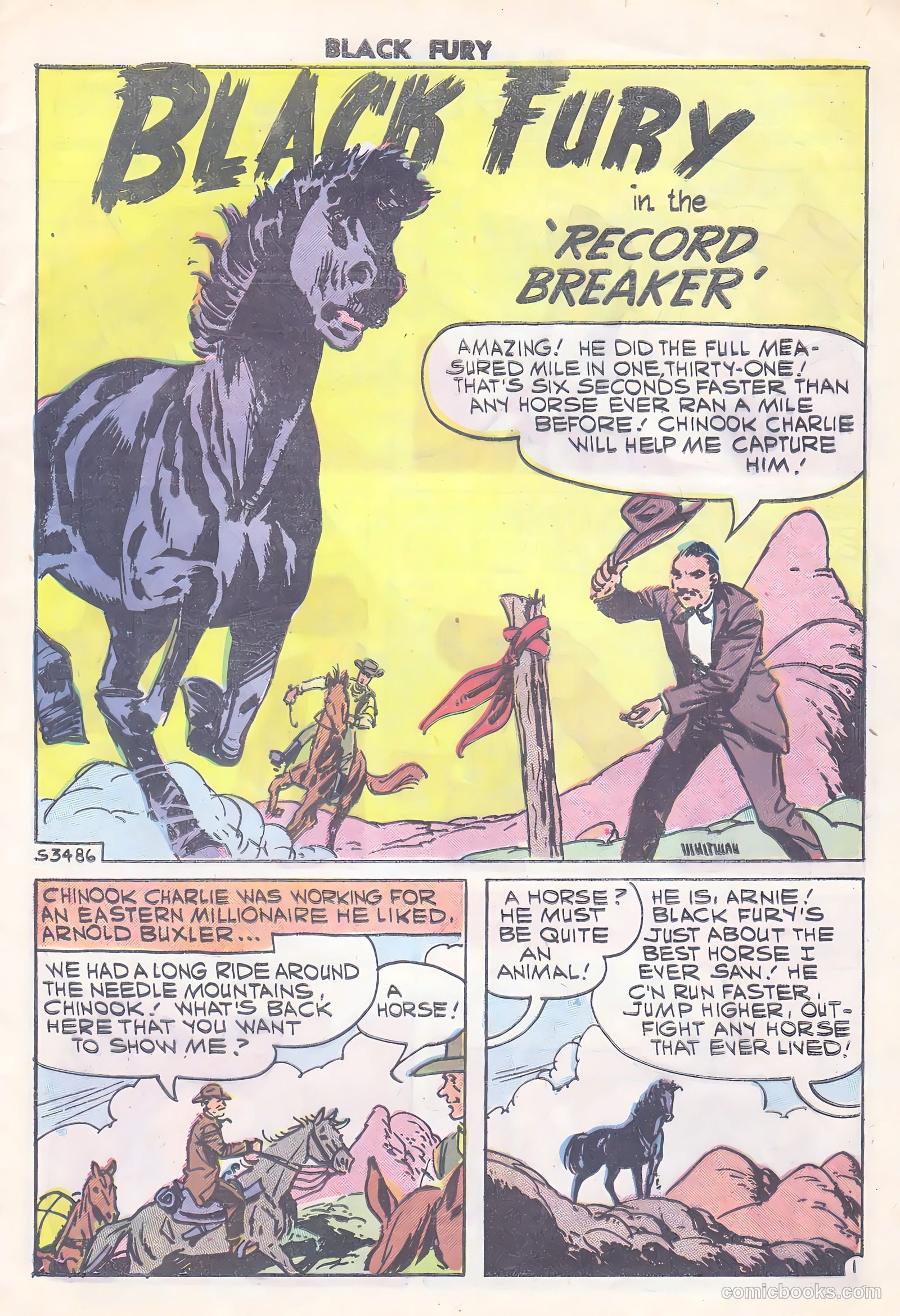 Black Fury #15 — page 9 of 36