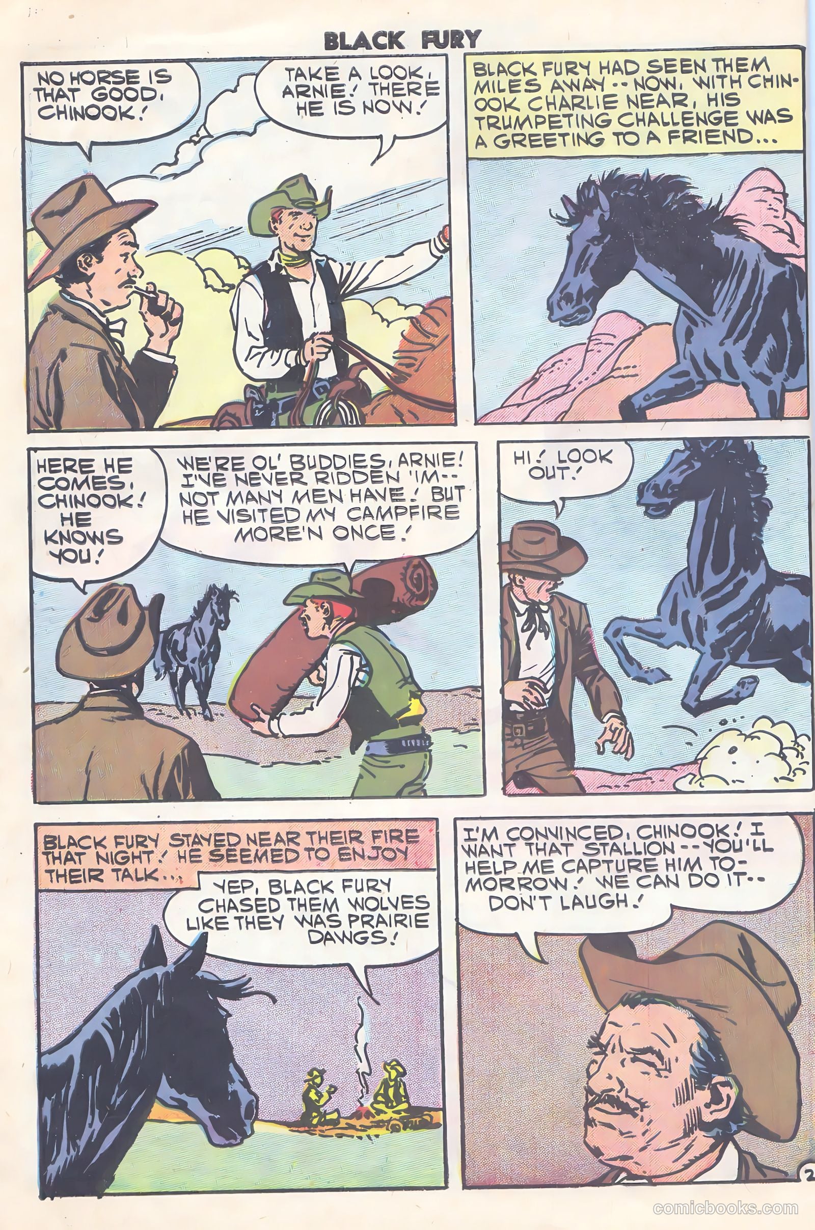 Black Fury #15 — page 10 of 36