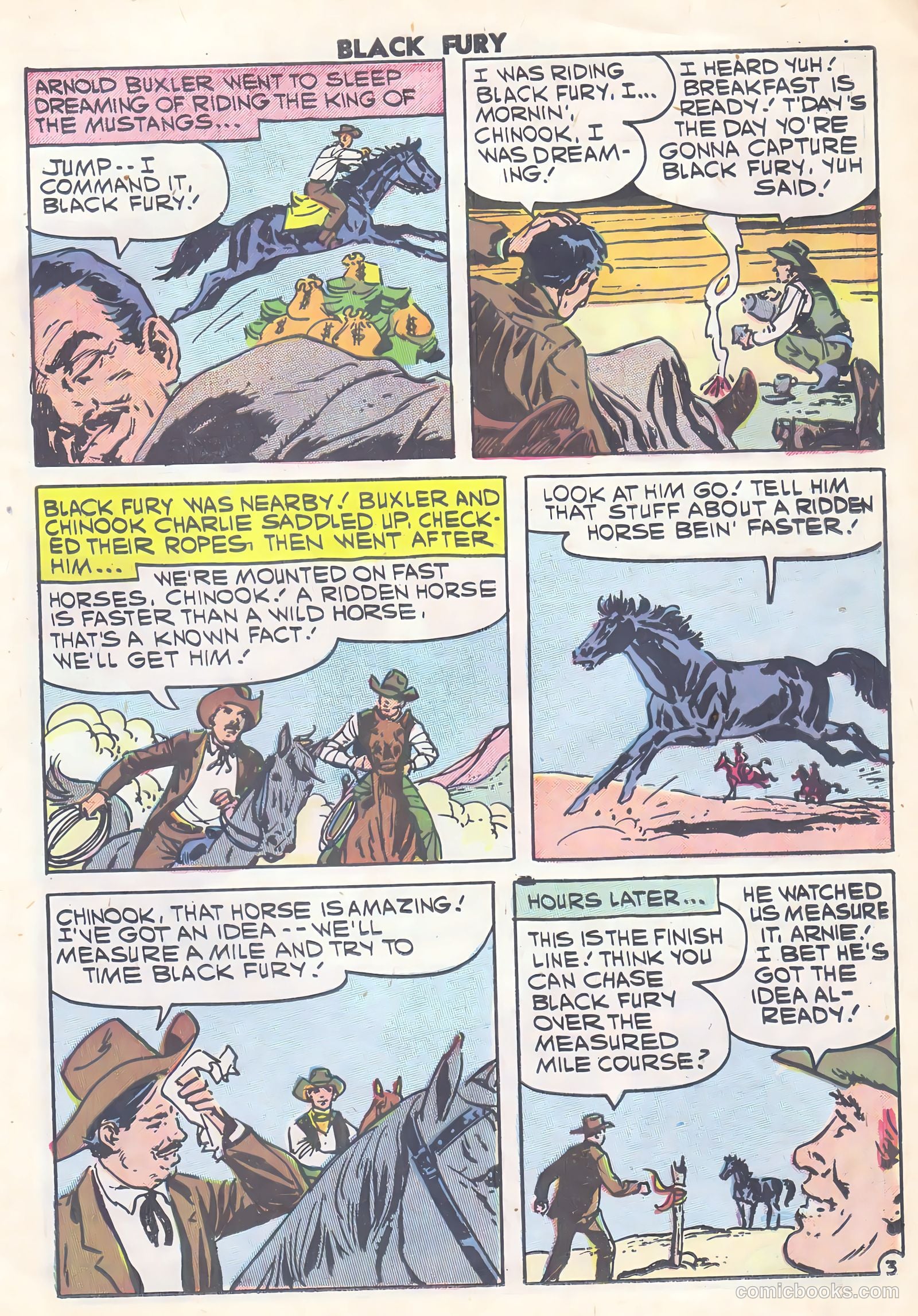 Black Fury #15 — page 11 of 36