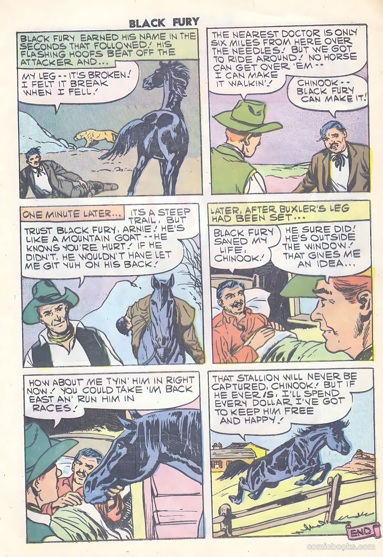 Black Fury #15 — page 13 of 36