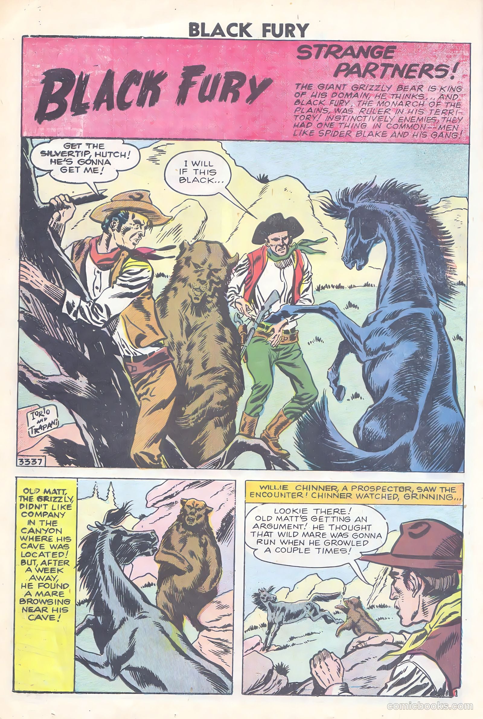 Black Fury #15 — page 14 of 36