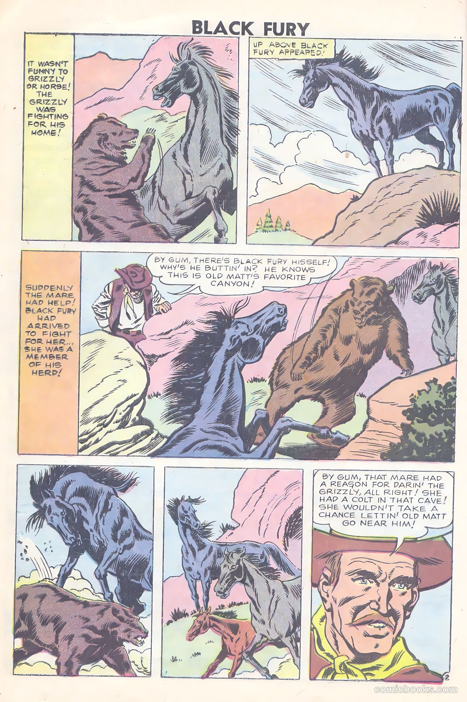 Black Fury #15 — page 16 of 36