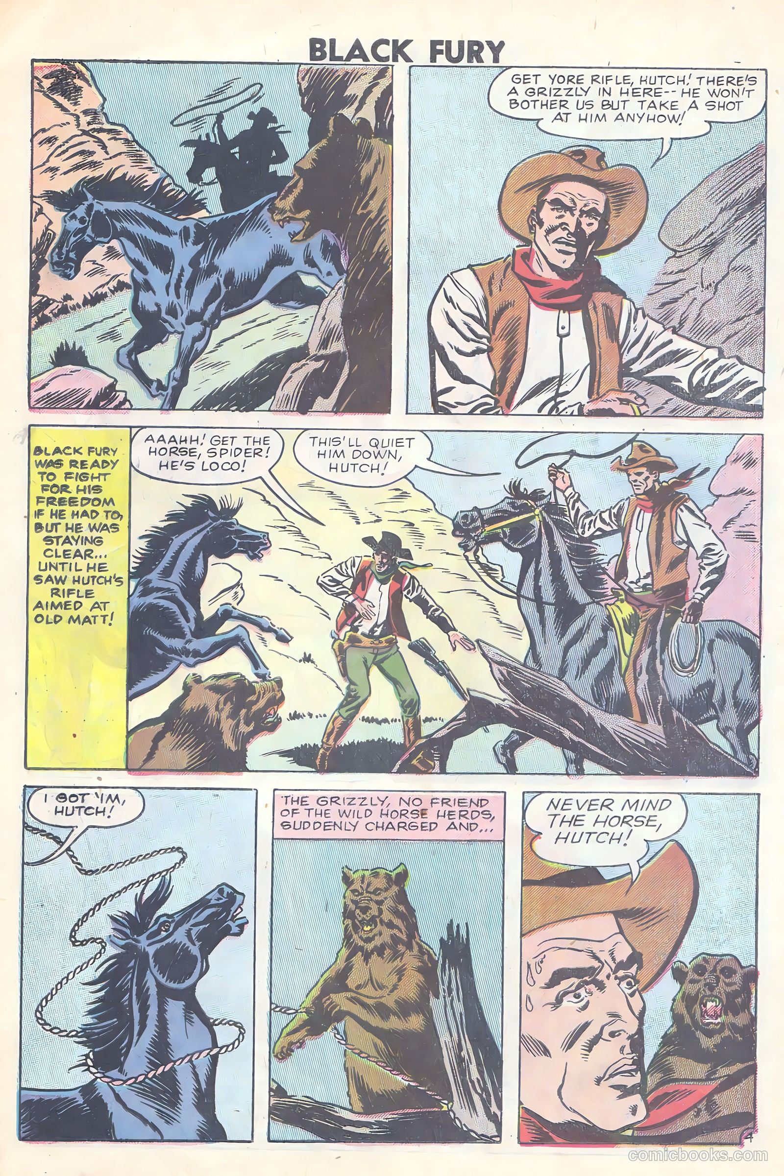 Black Fury #15 — page 18 of 36
