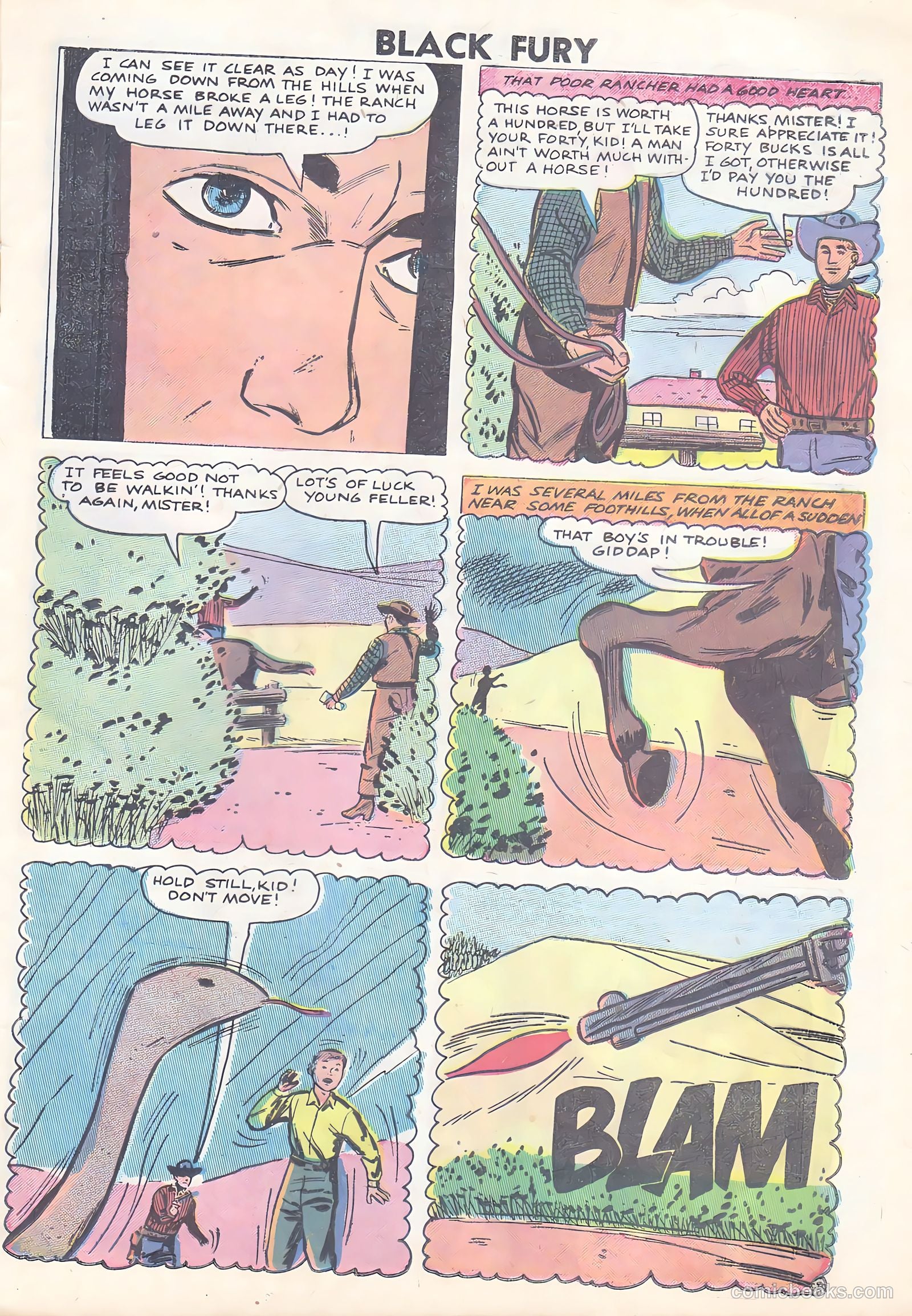 Black Fury #15 — page 25 of 36