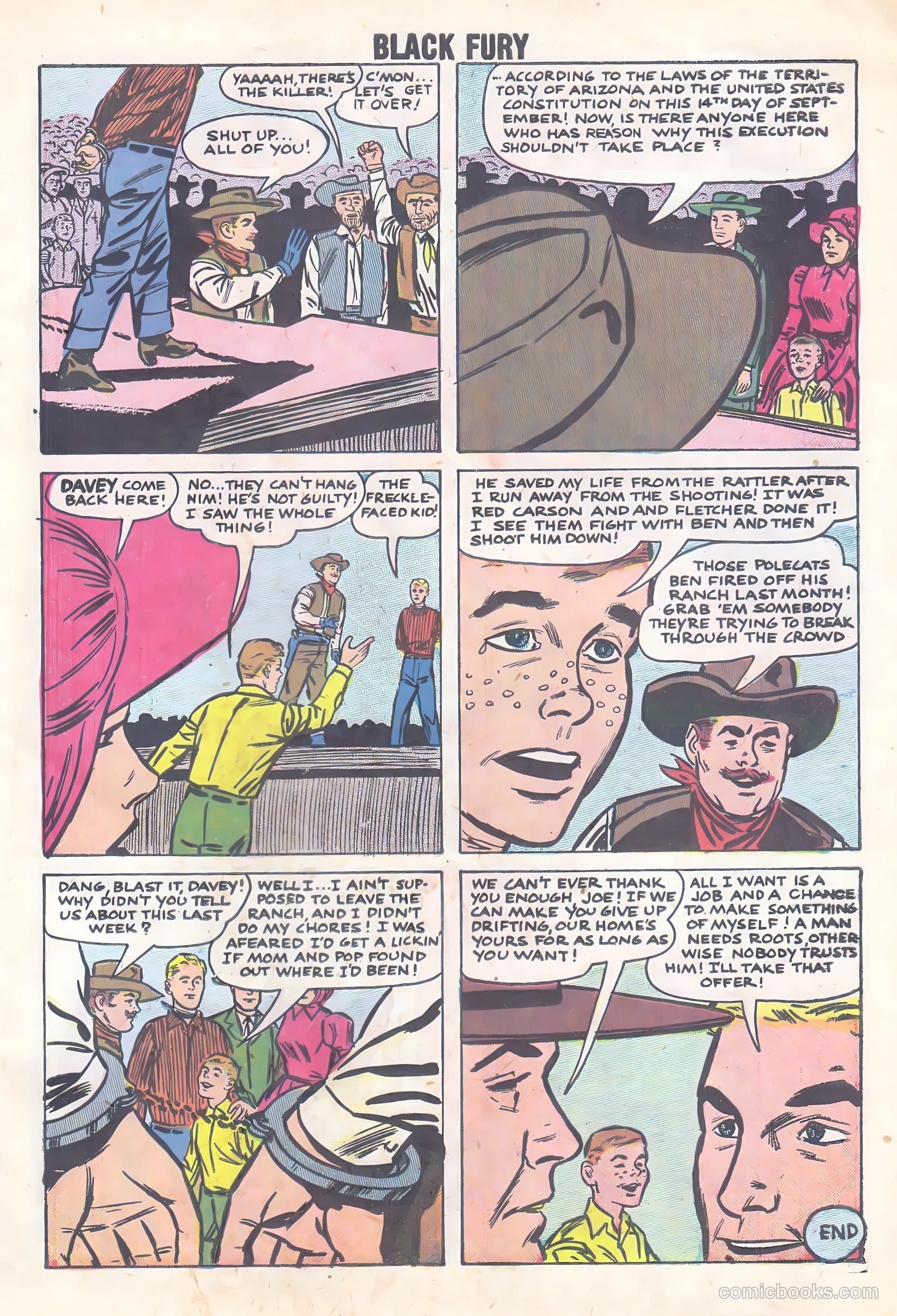 Black Fury #15 — page 27 of 36
