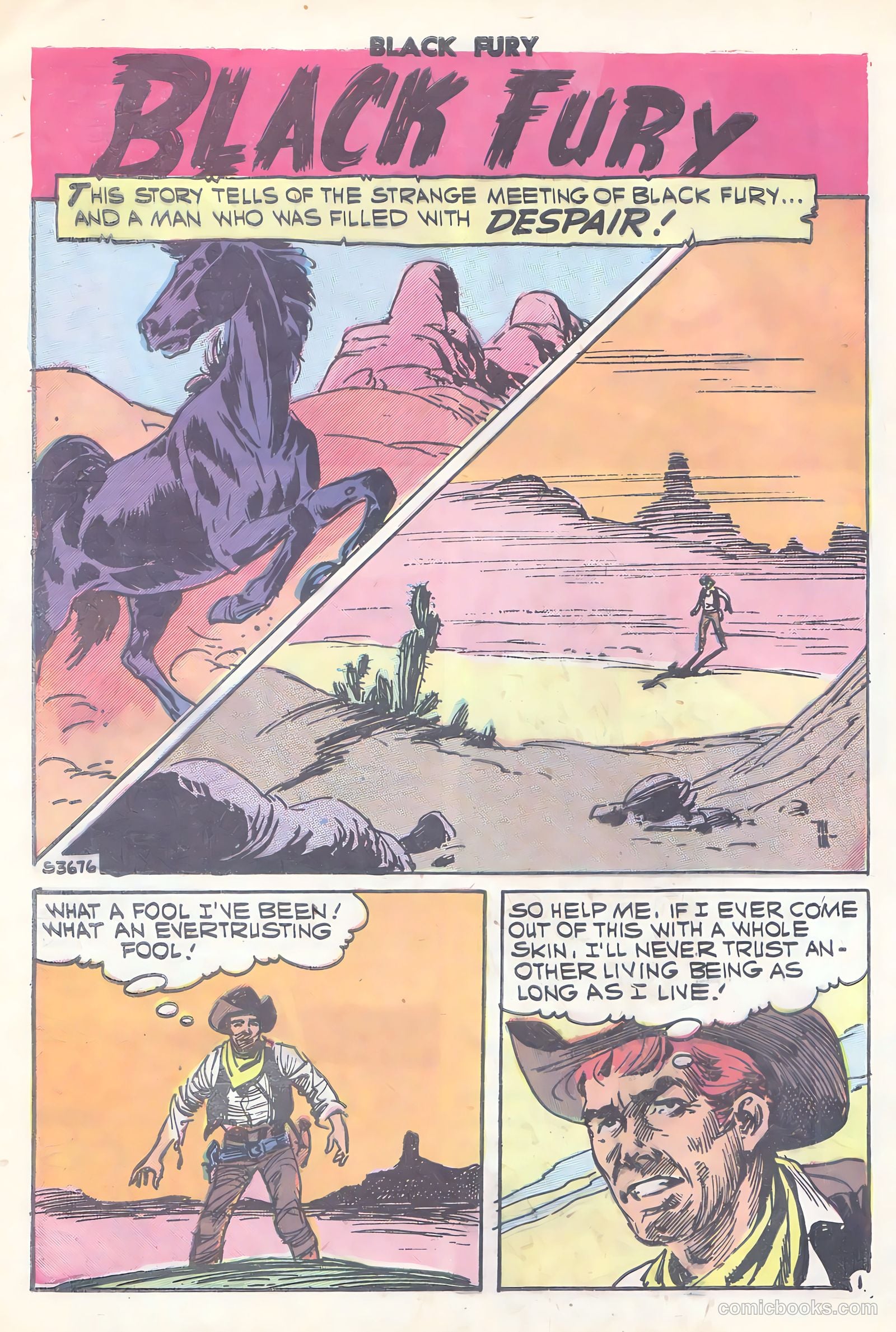 Black Fury #15 — page 28 of 36