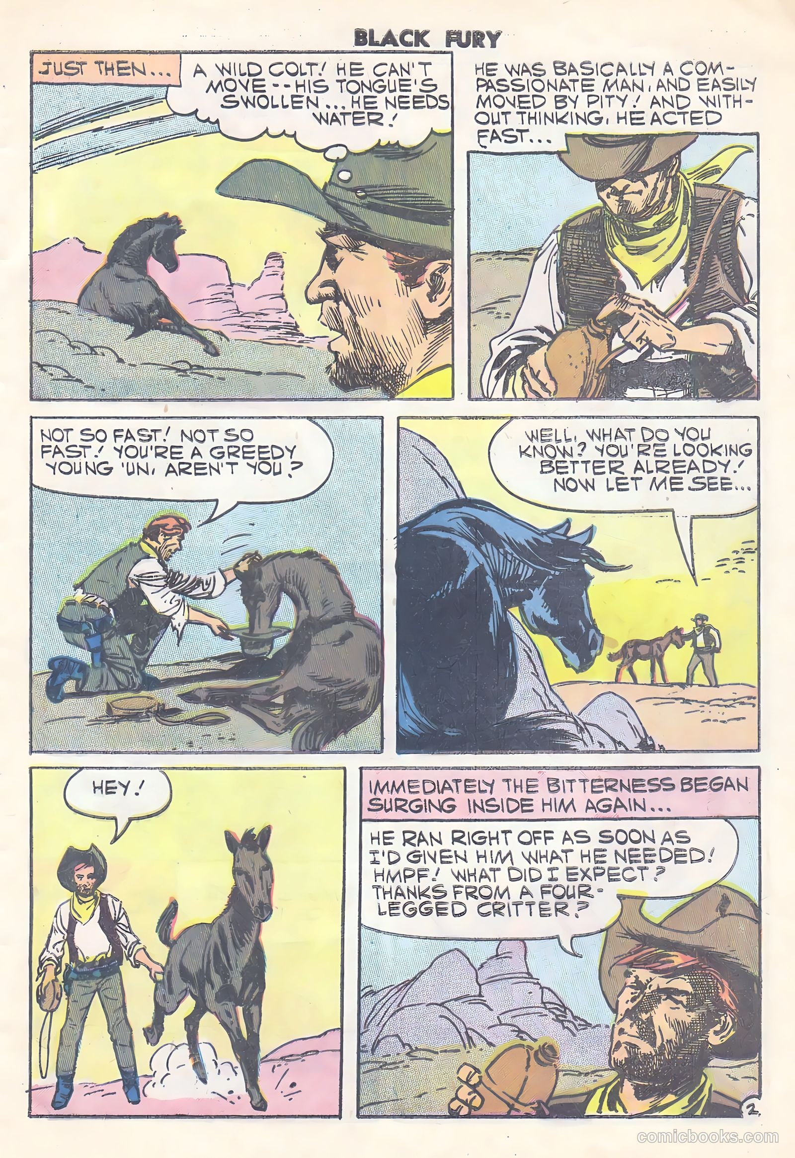 Black Fury #15 — page 29 of 36