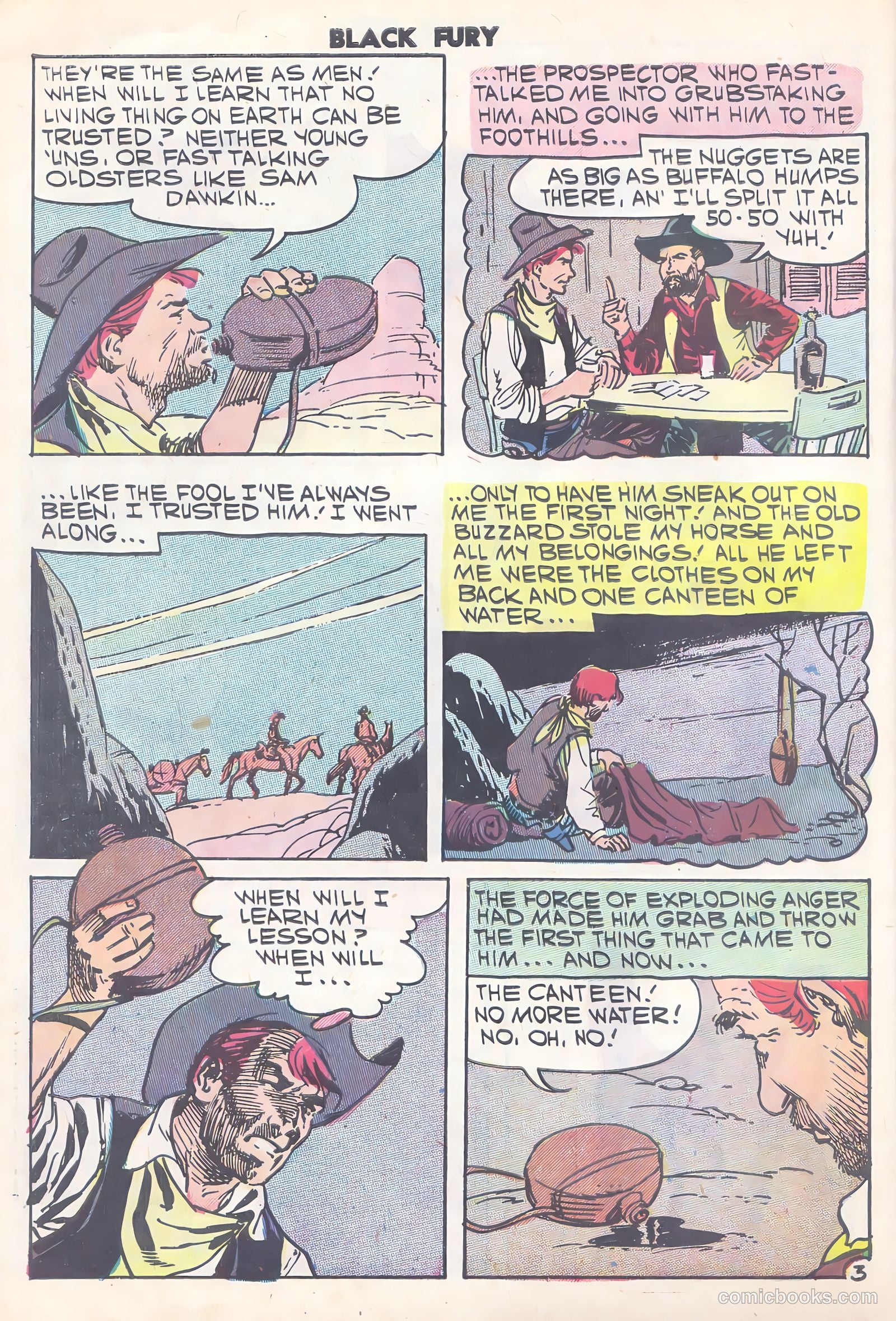 Black Fury #15 — page 30 of 36