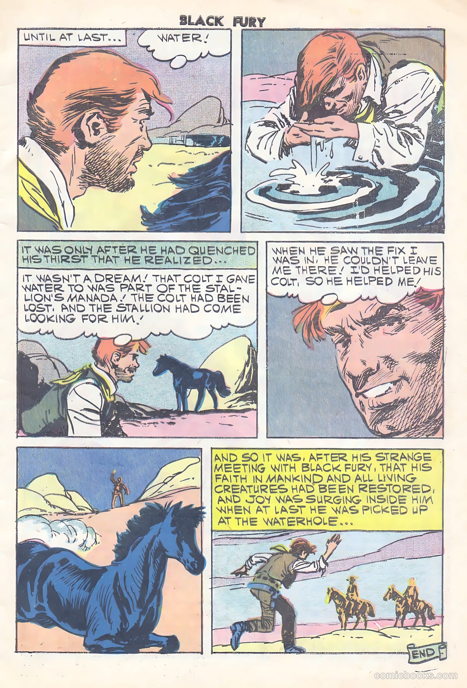Black Fury #15 — page 33 of 36
