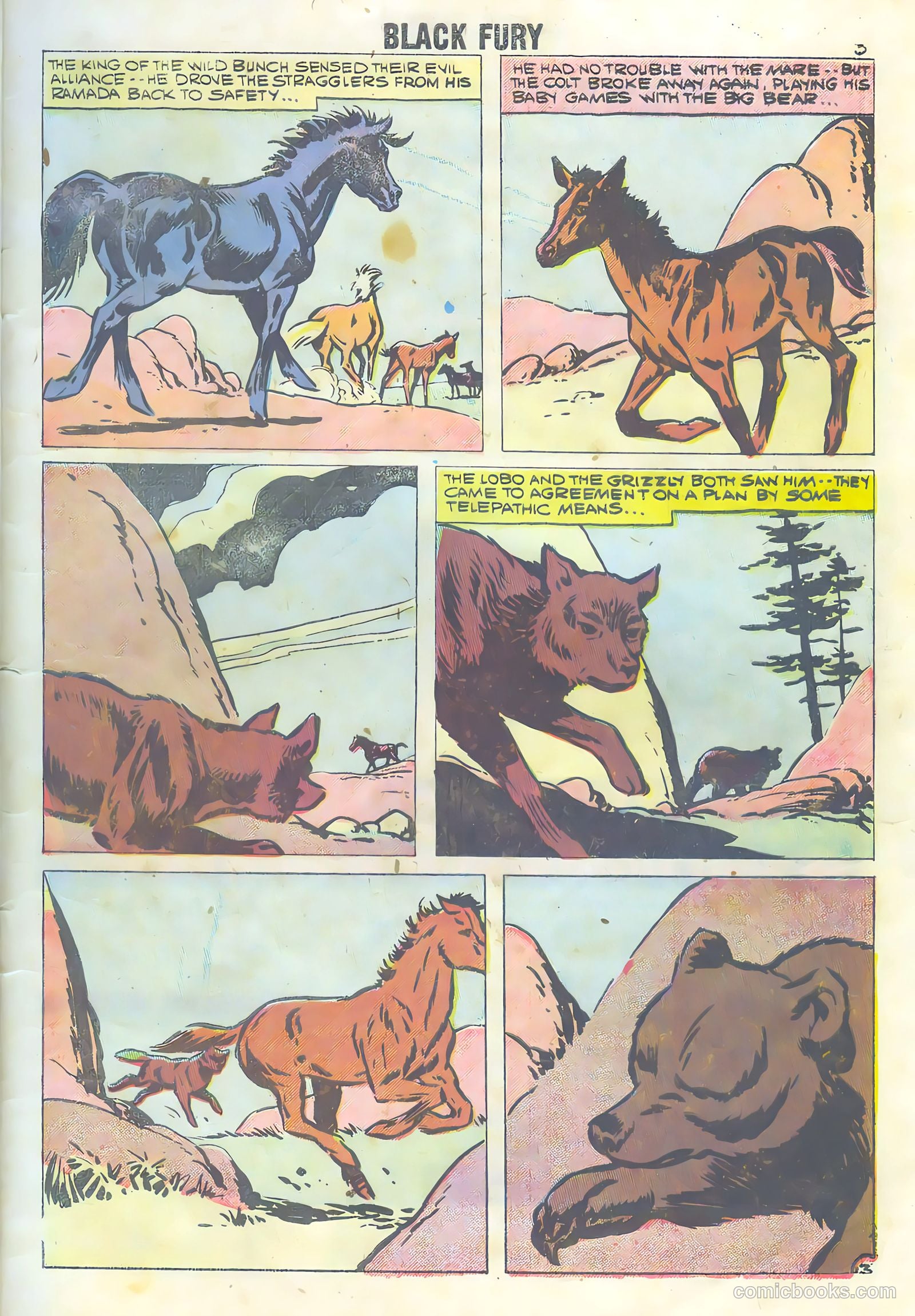 Black Fury #16 — page 5 of 36