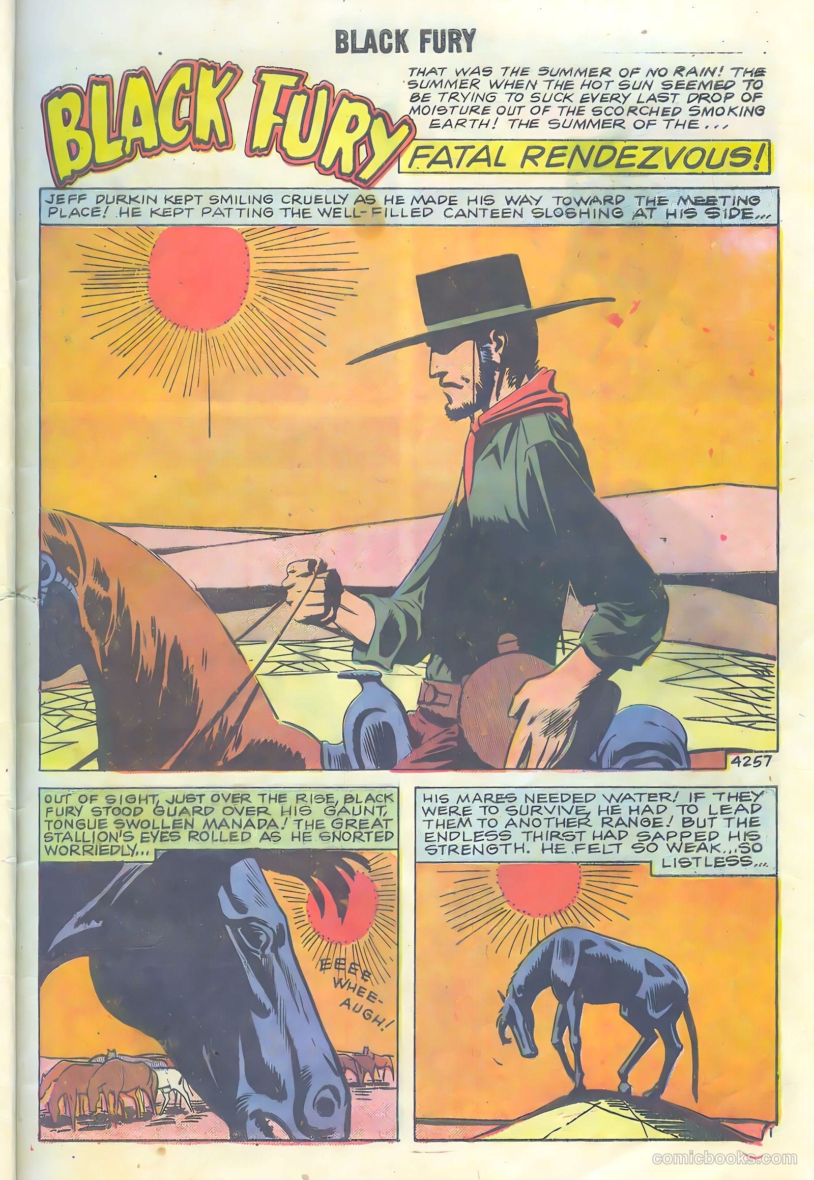 Black Fury #16 — page 9 of 36
