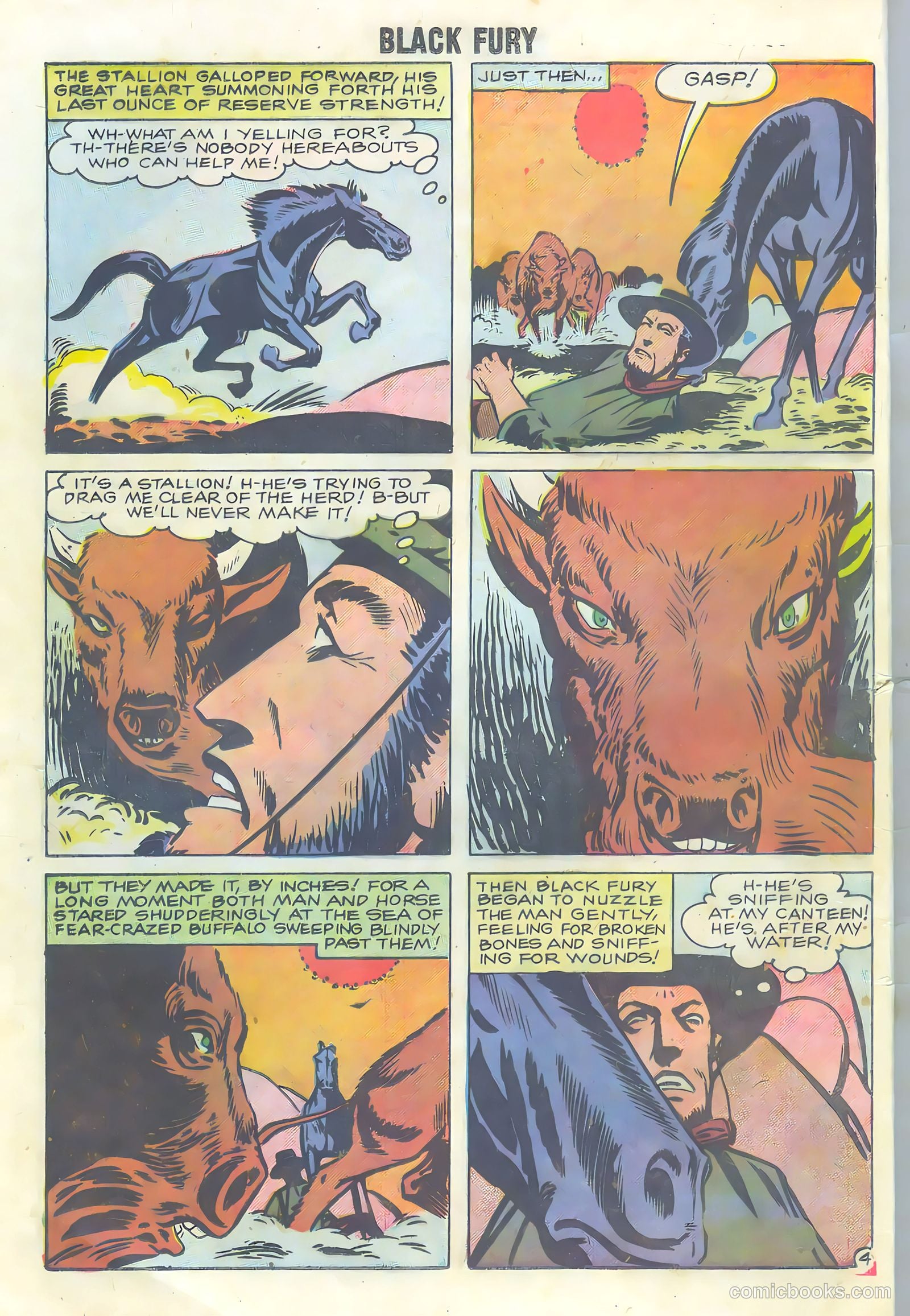 Black Fury #16 — page 12 of 36