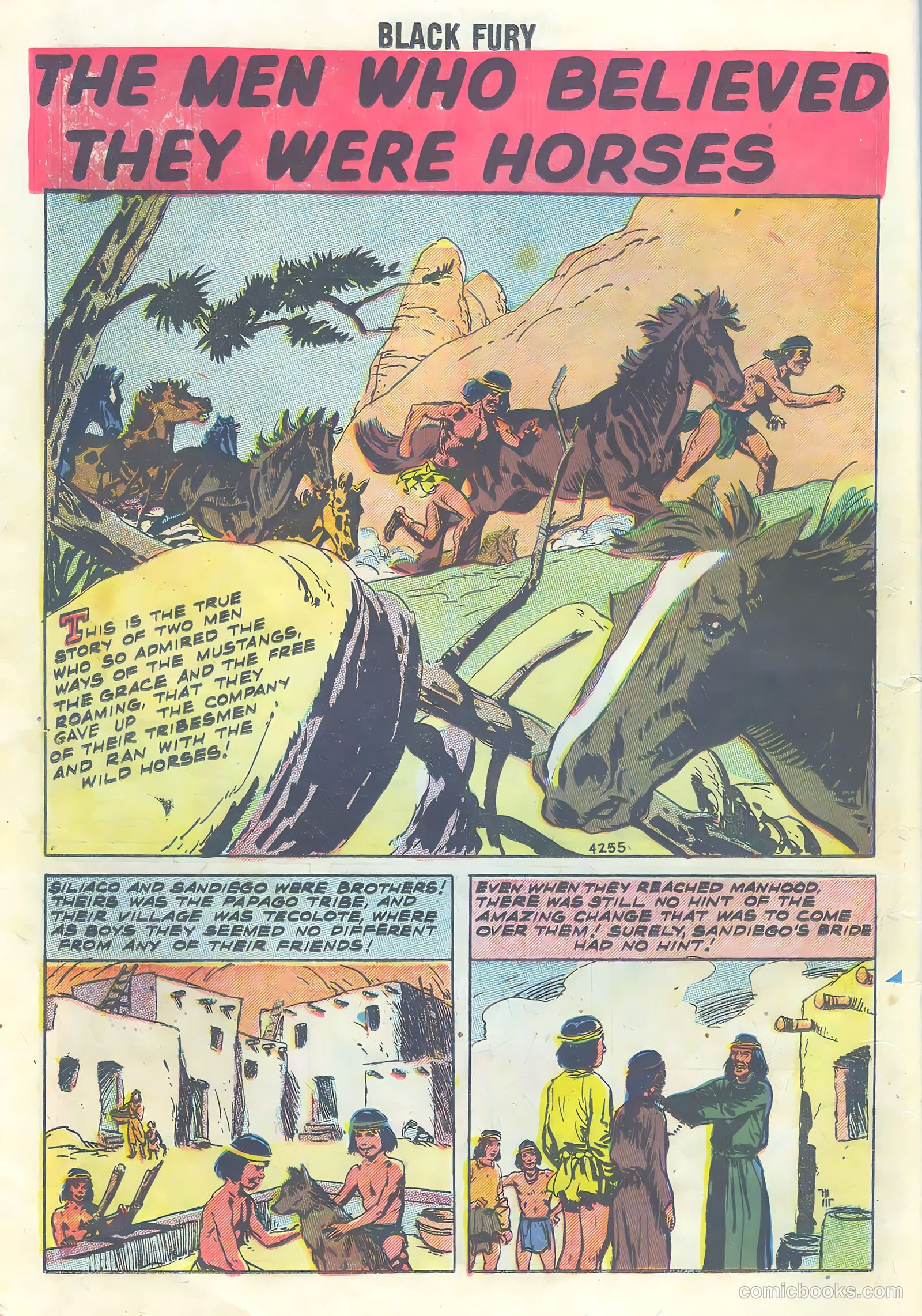Black Fury #16 — page 14 of 36