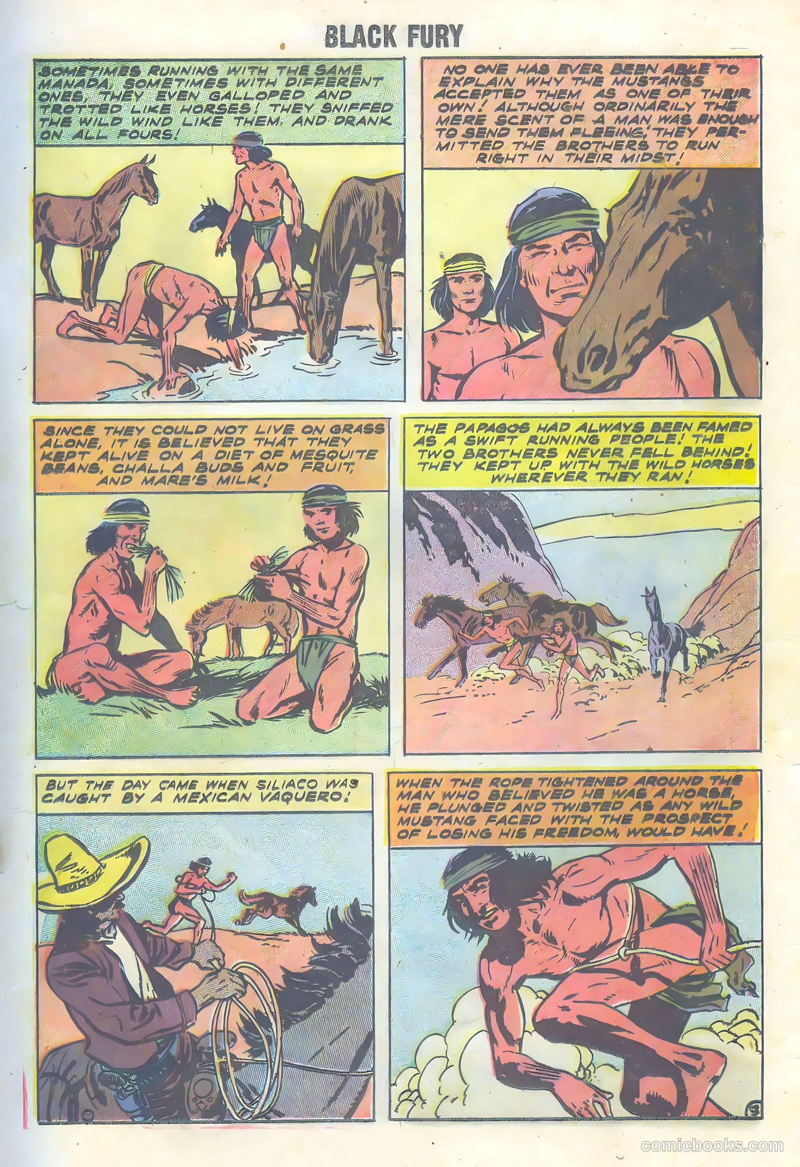 Black Fury #16 — page 17 of 36