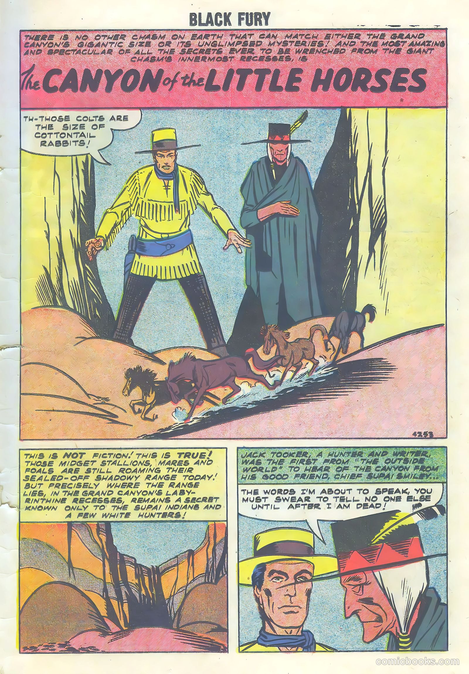 Black Fury #16 — page 23 of 36