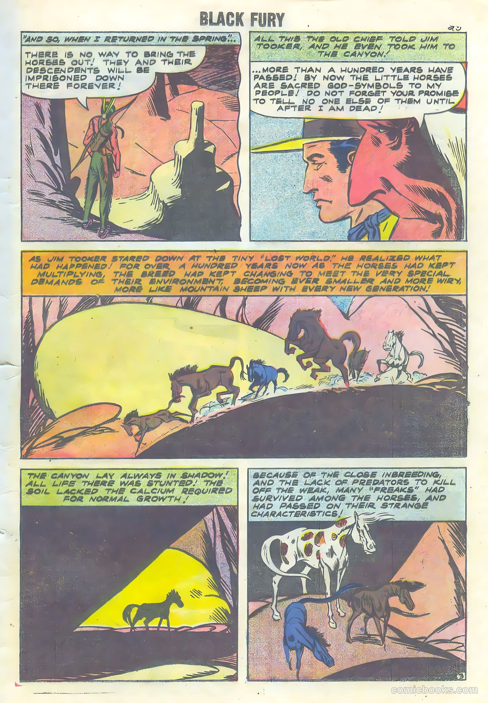 Black Fury #16 — page 25 of 36