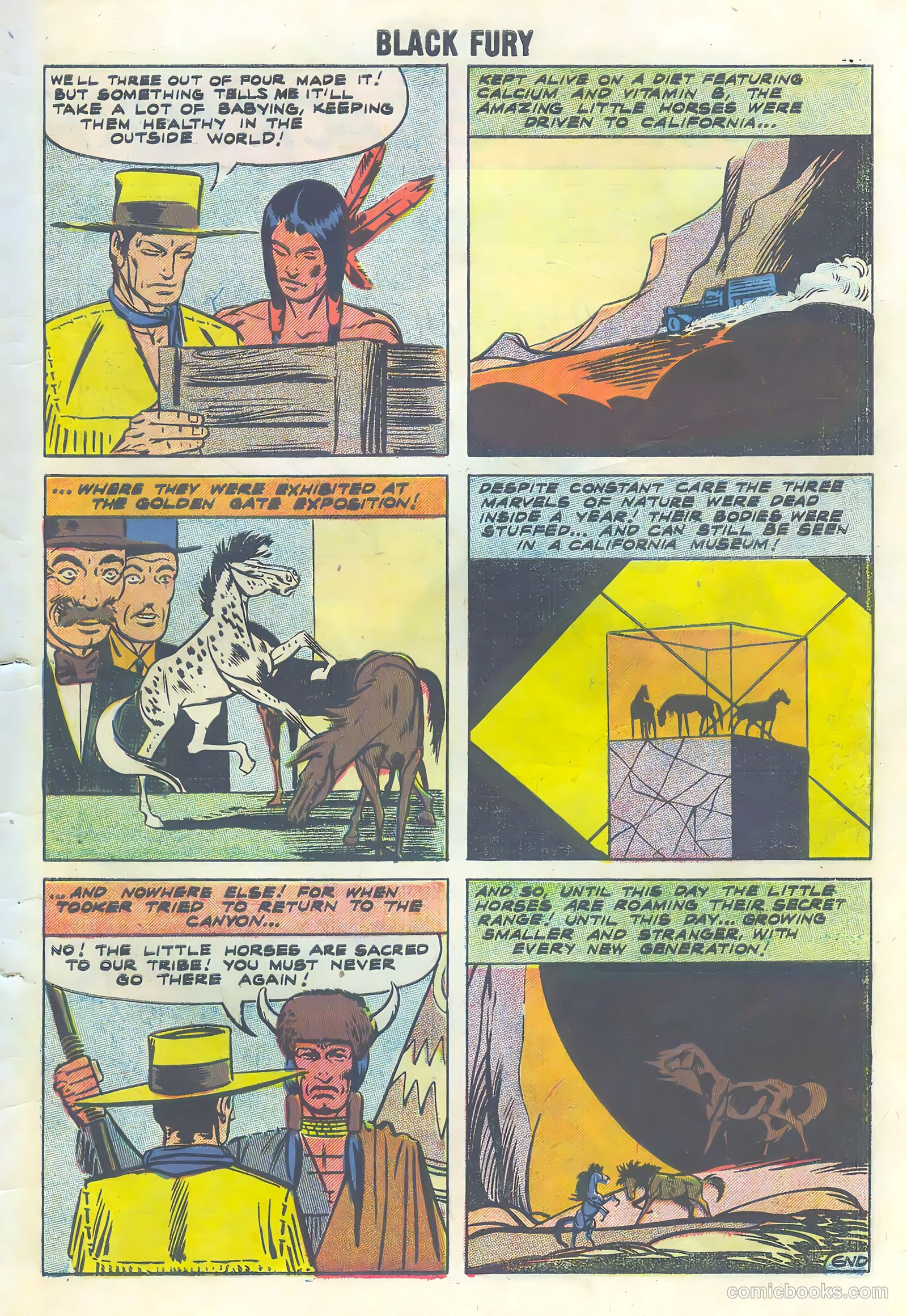 Black Fury #16 — page 27 of 36