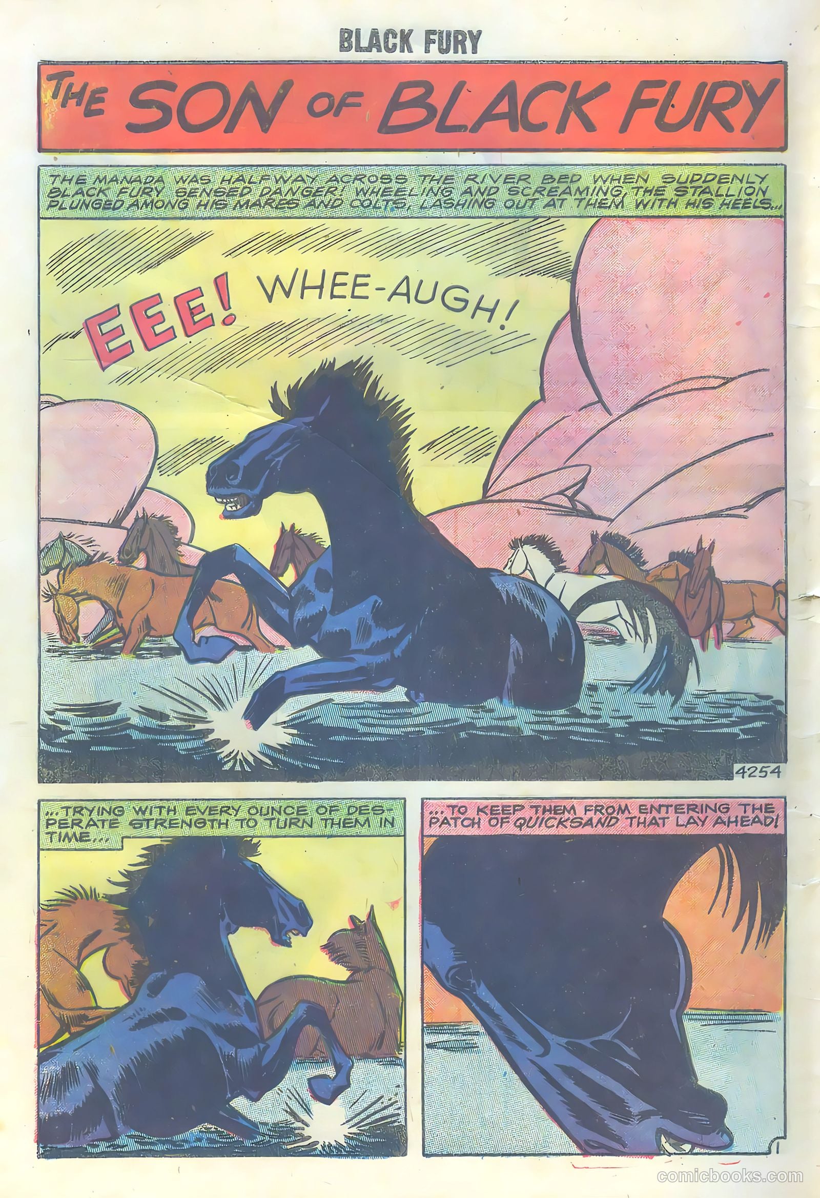Black Fury #16 — page 28 of 36