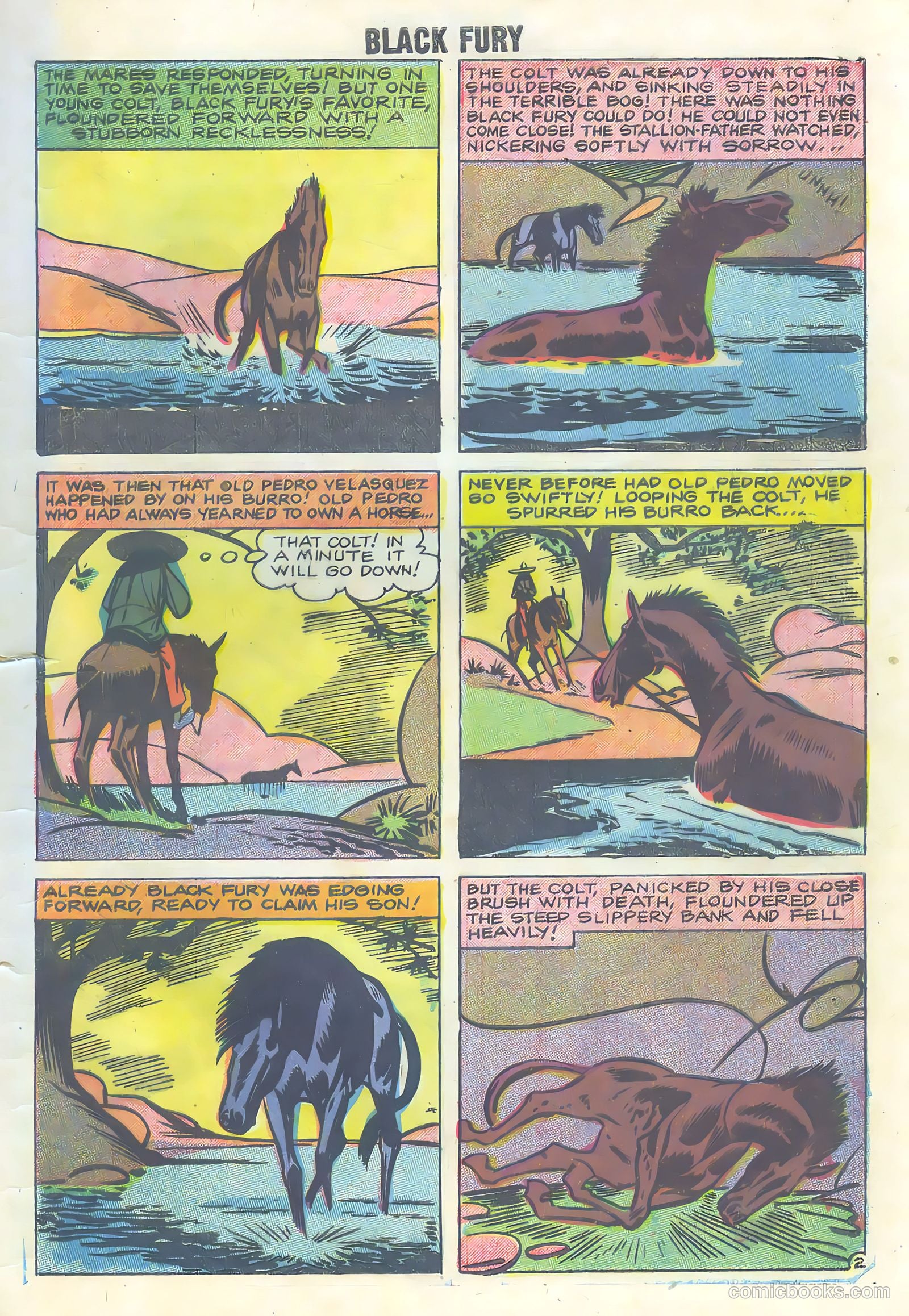 Black Fury #16 — page 29 of 36