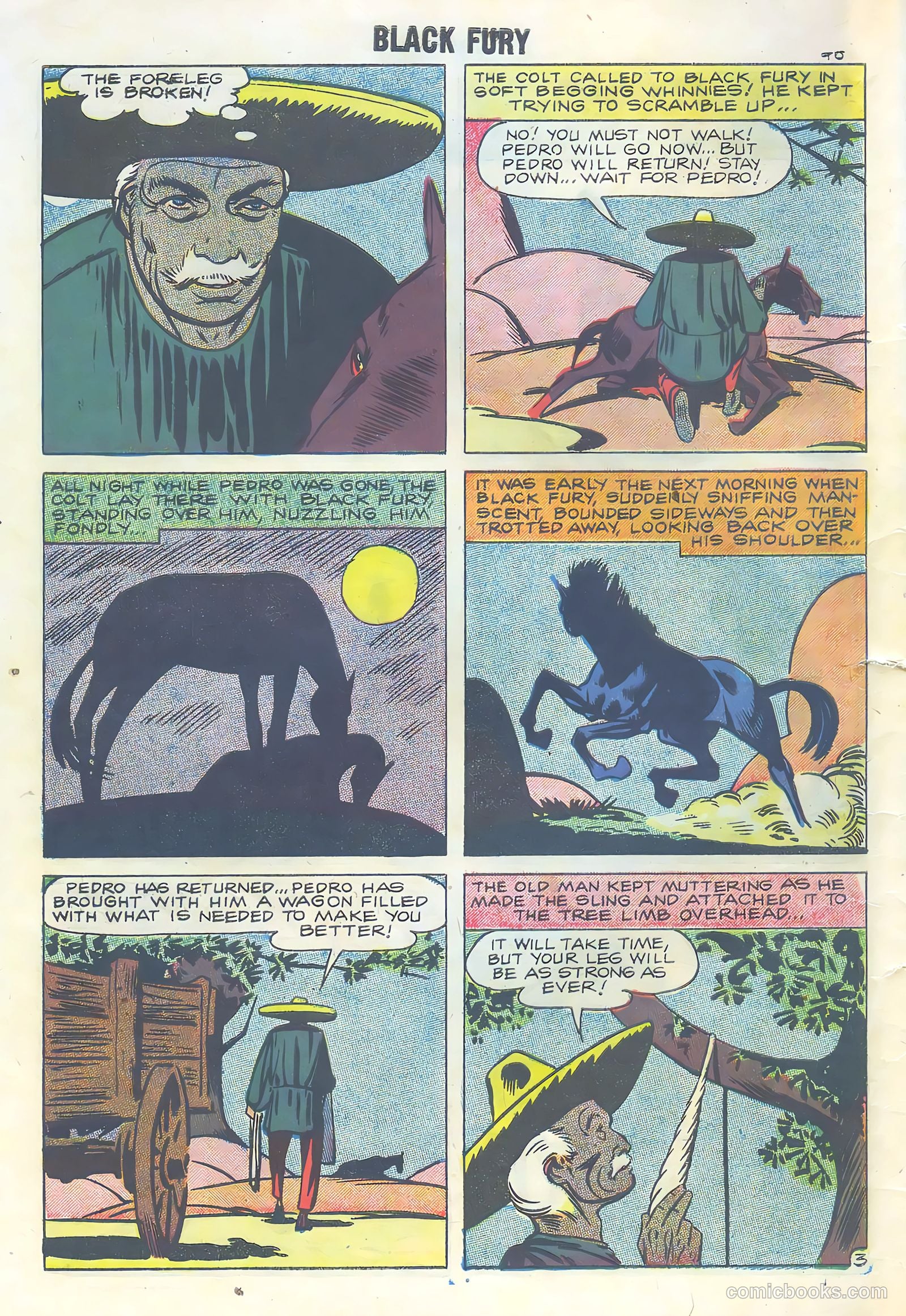 Black Fury #16 — page 30 of 36