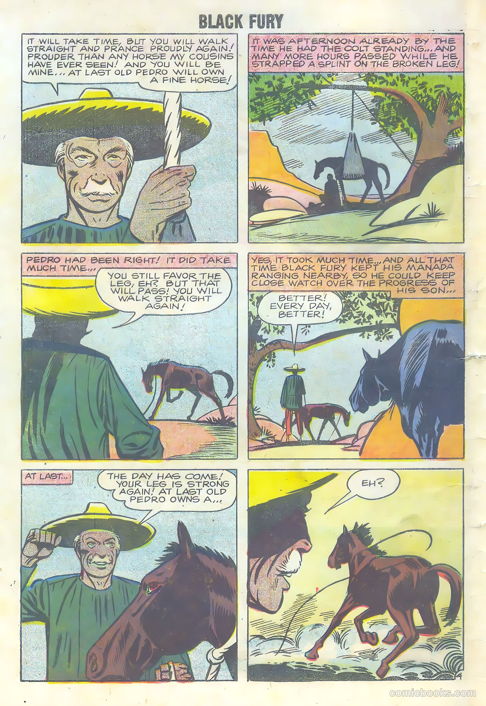 Black Fury #16 — page 32 of 36