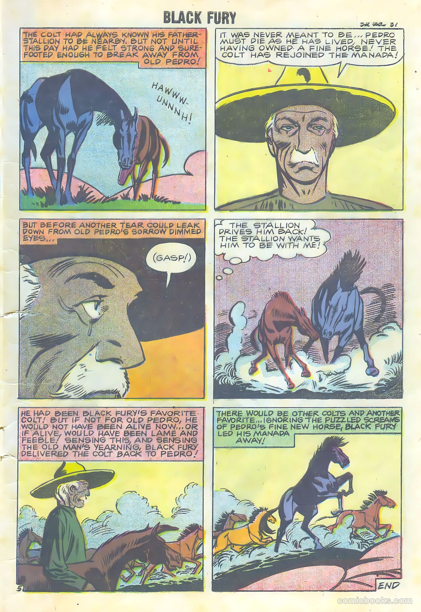 Black Fury #16 — page 33 of 36
