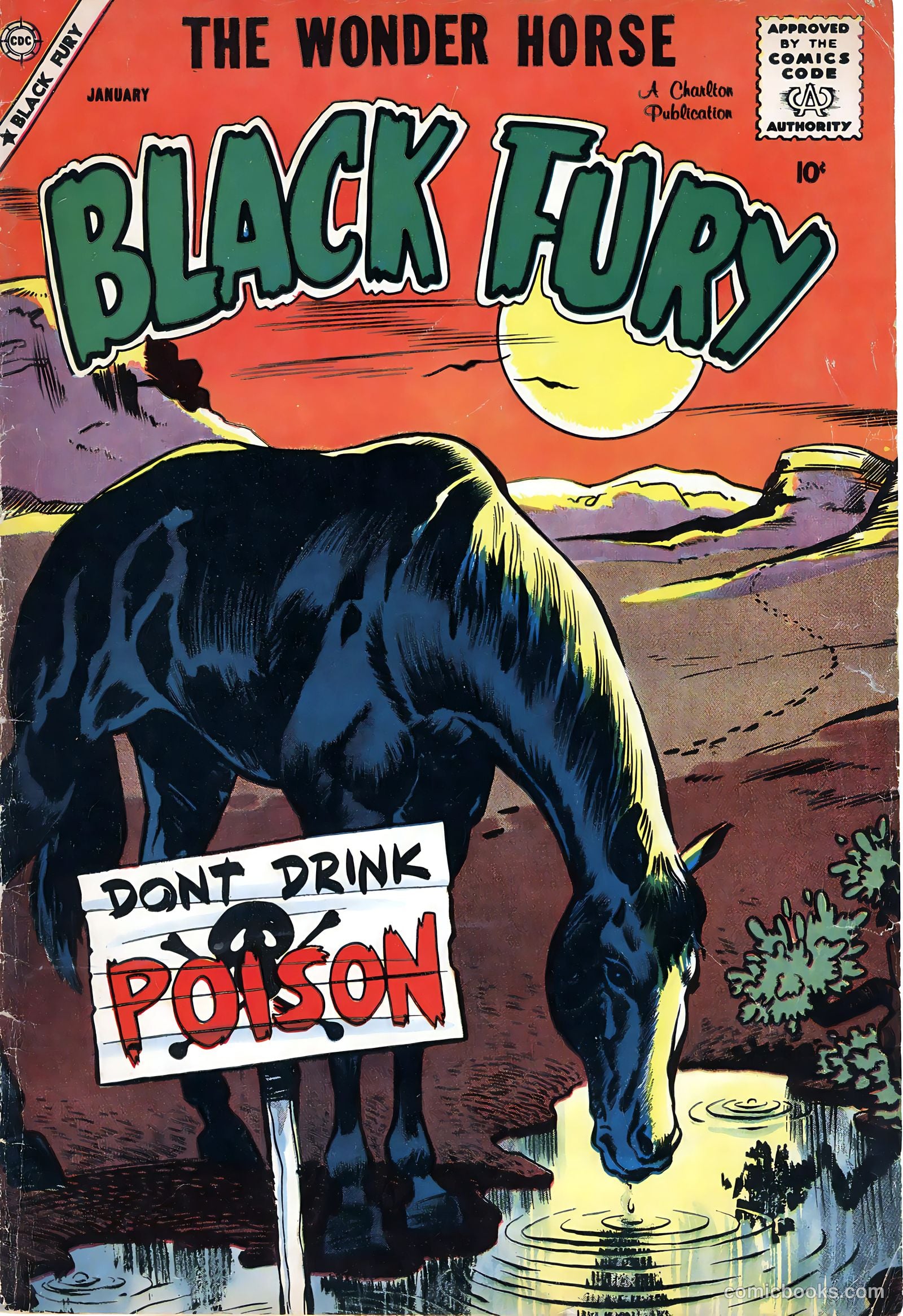 Black Fury #17 — page 1 of 36
