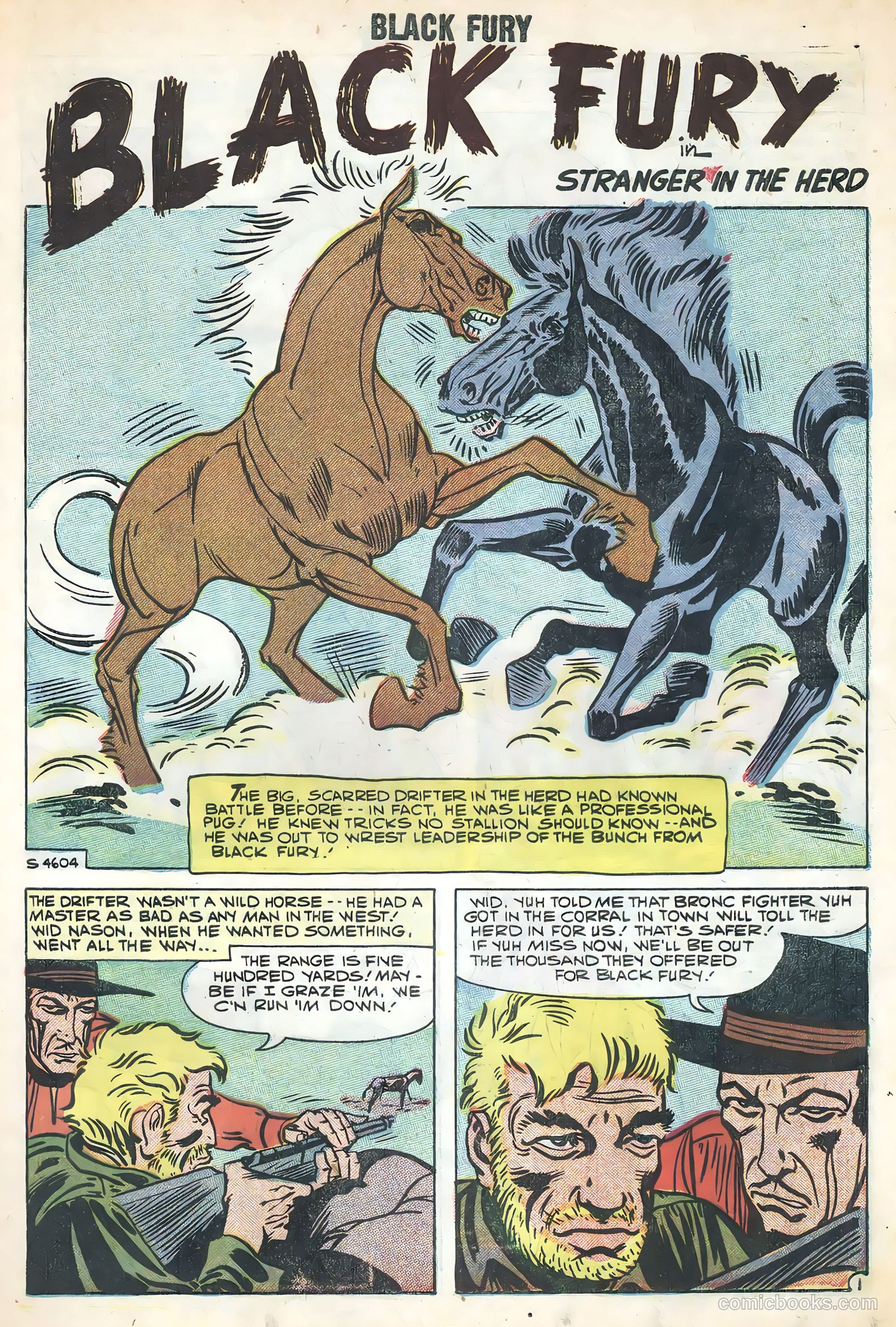 Black Fury #17 — page 3 of 36