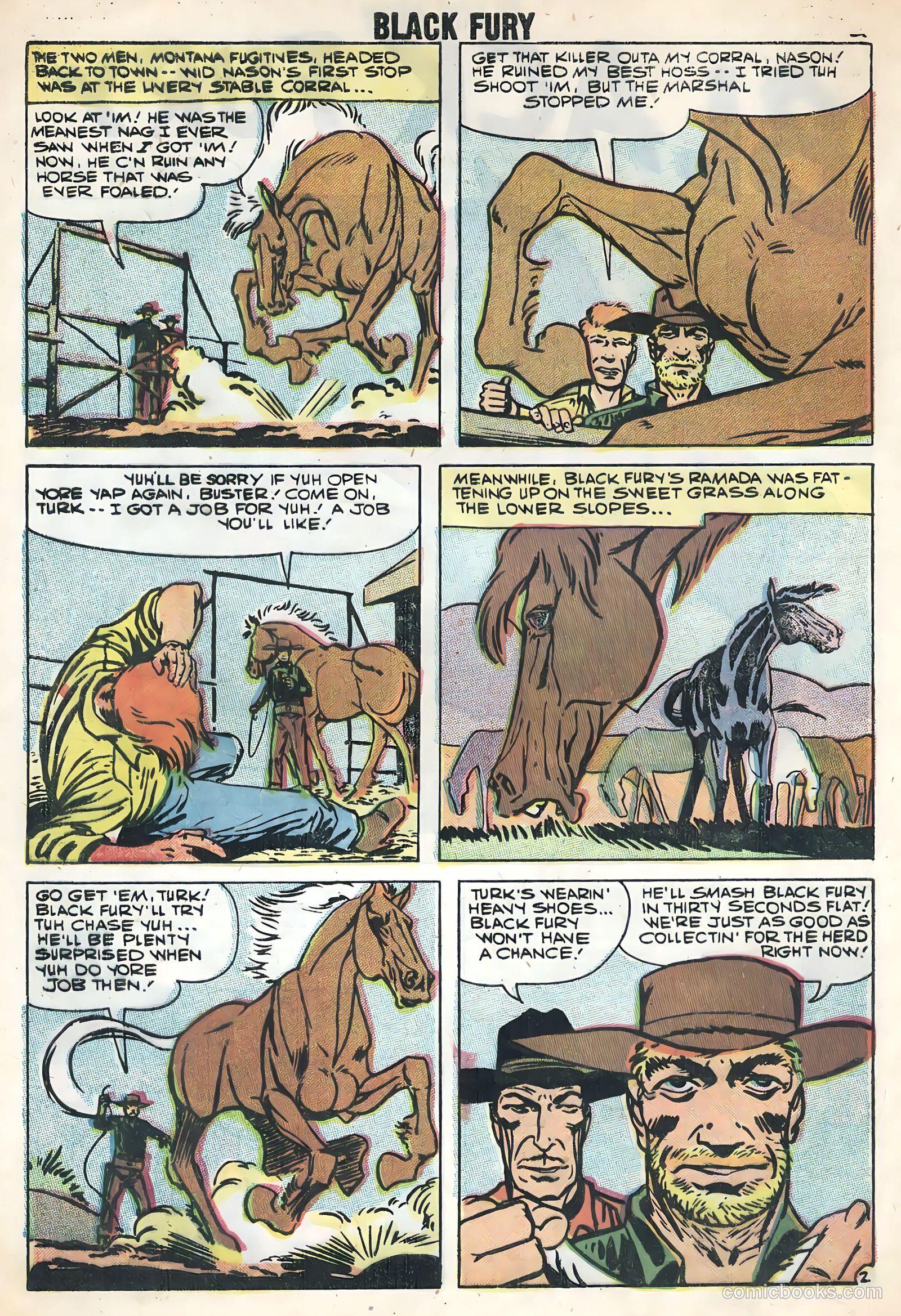 Black Fury #17 — page 4 of 36