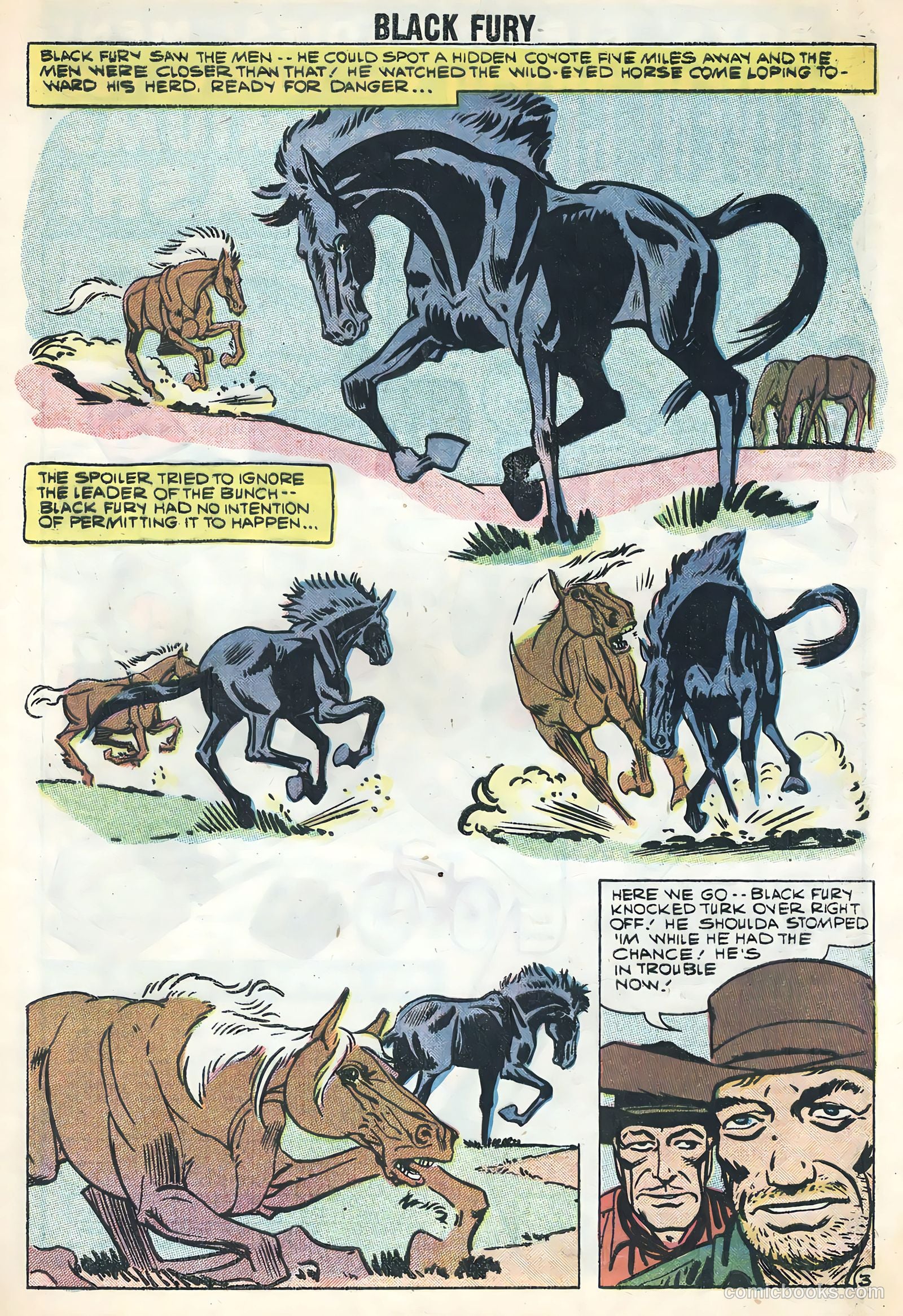 Black Fury #17 — page 5 of 36