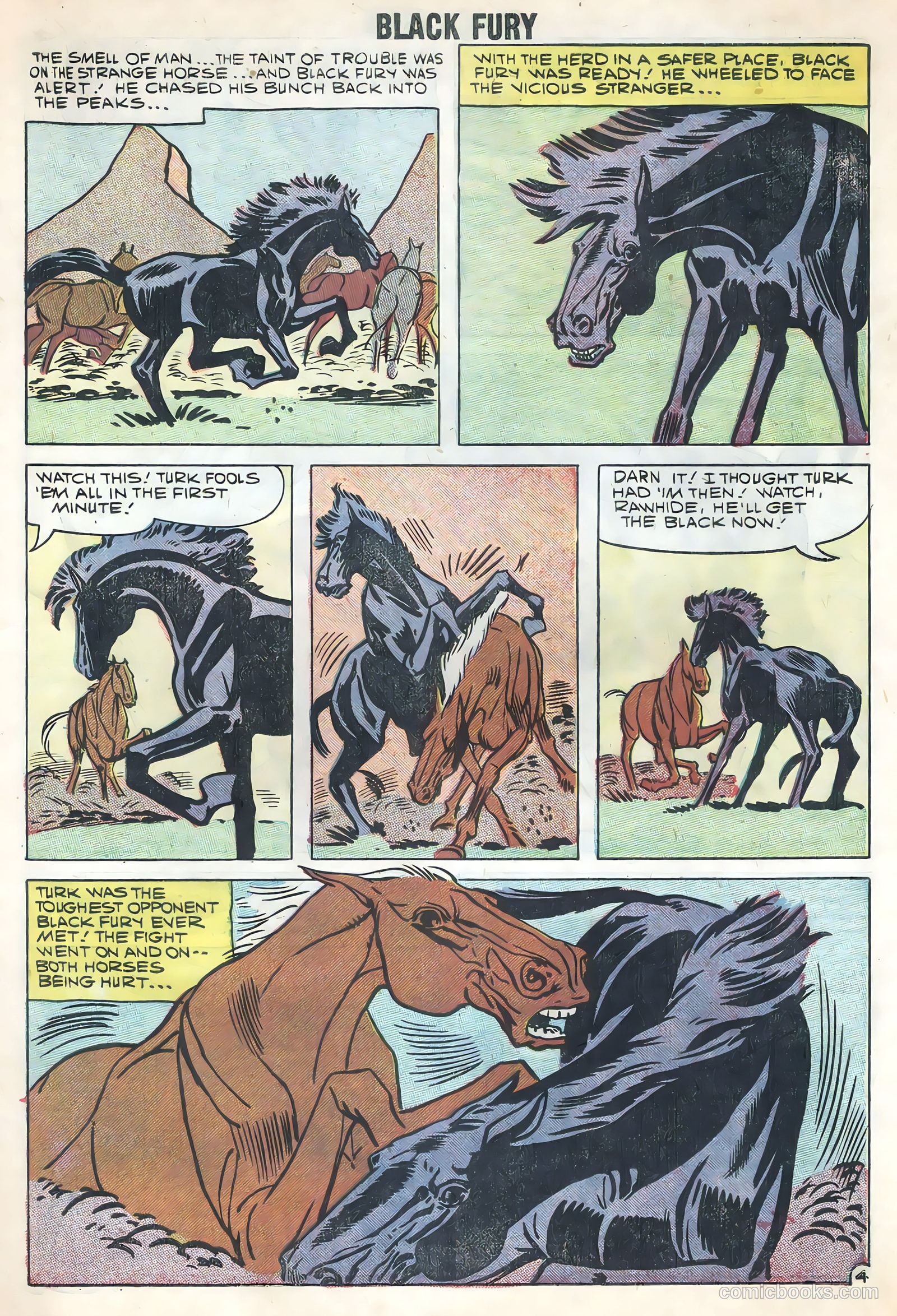 Black Fury #17 — page 7 of 36