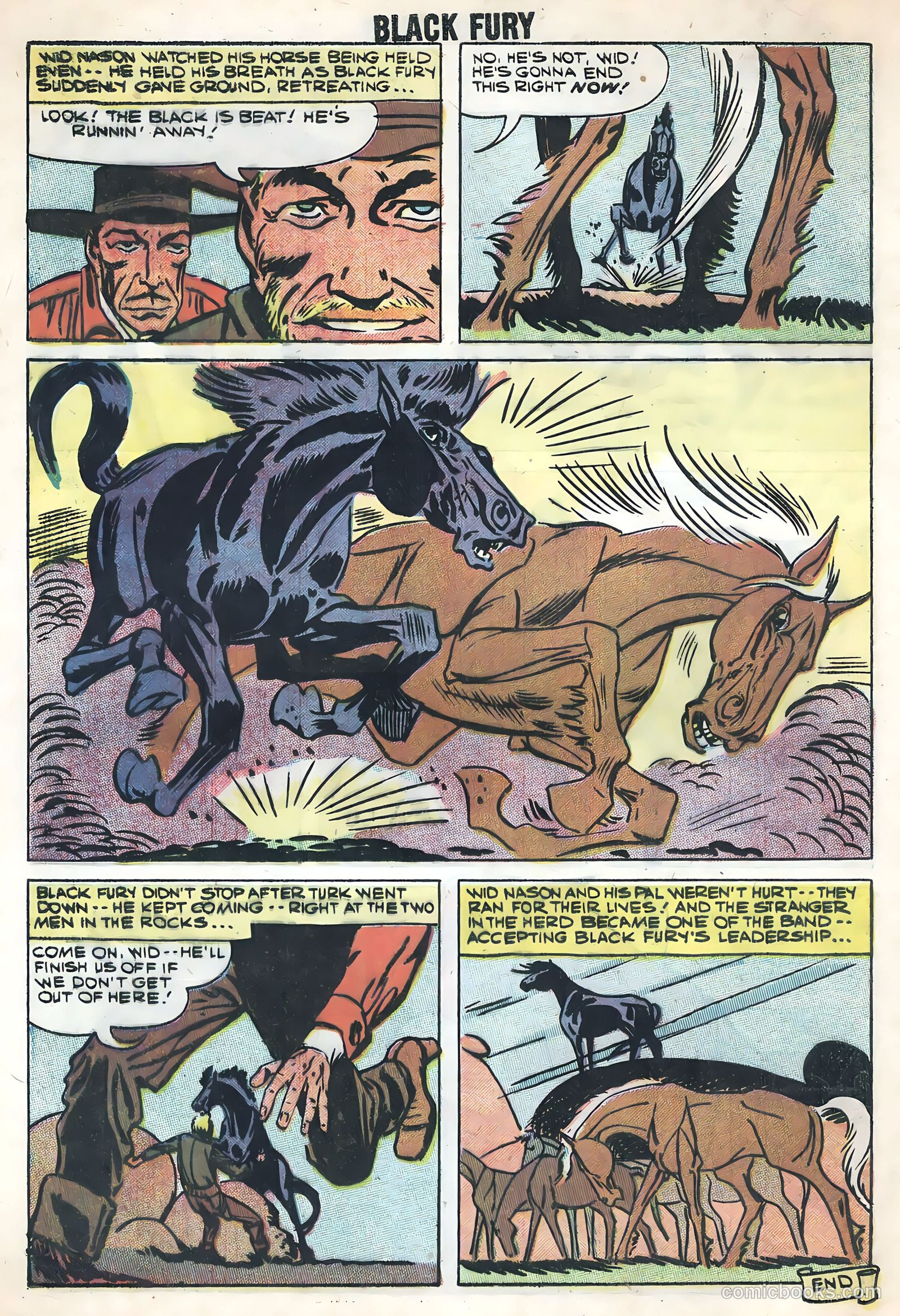 Black Fury #17 — page 8 of 36