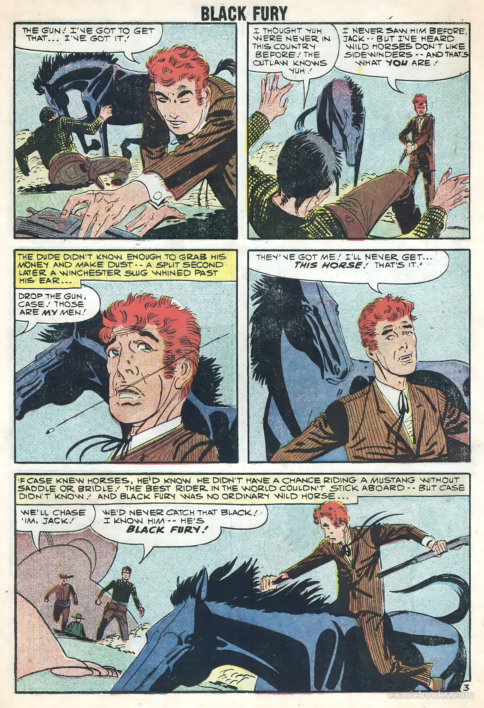 Black Fury #17 — page 11 of 36
