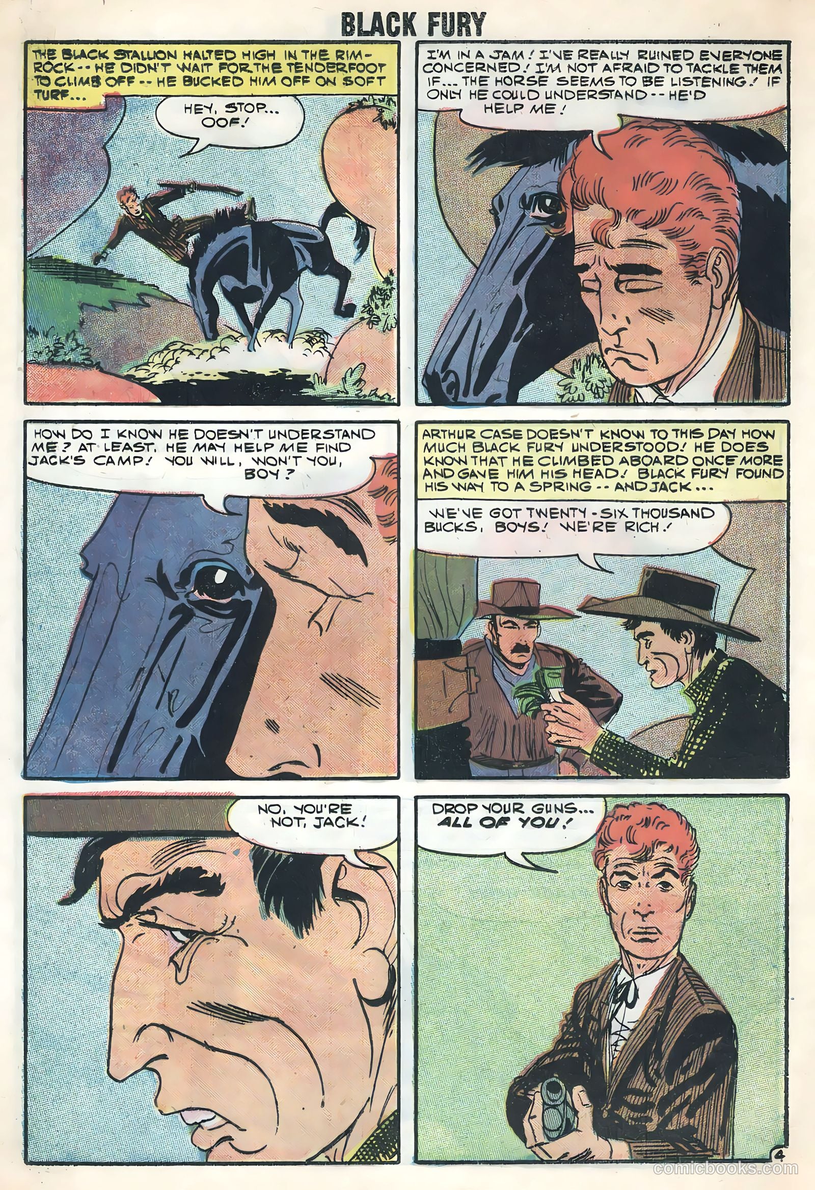 Black Fury #17 — page 12 of 36