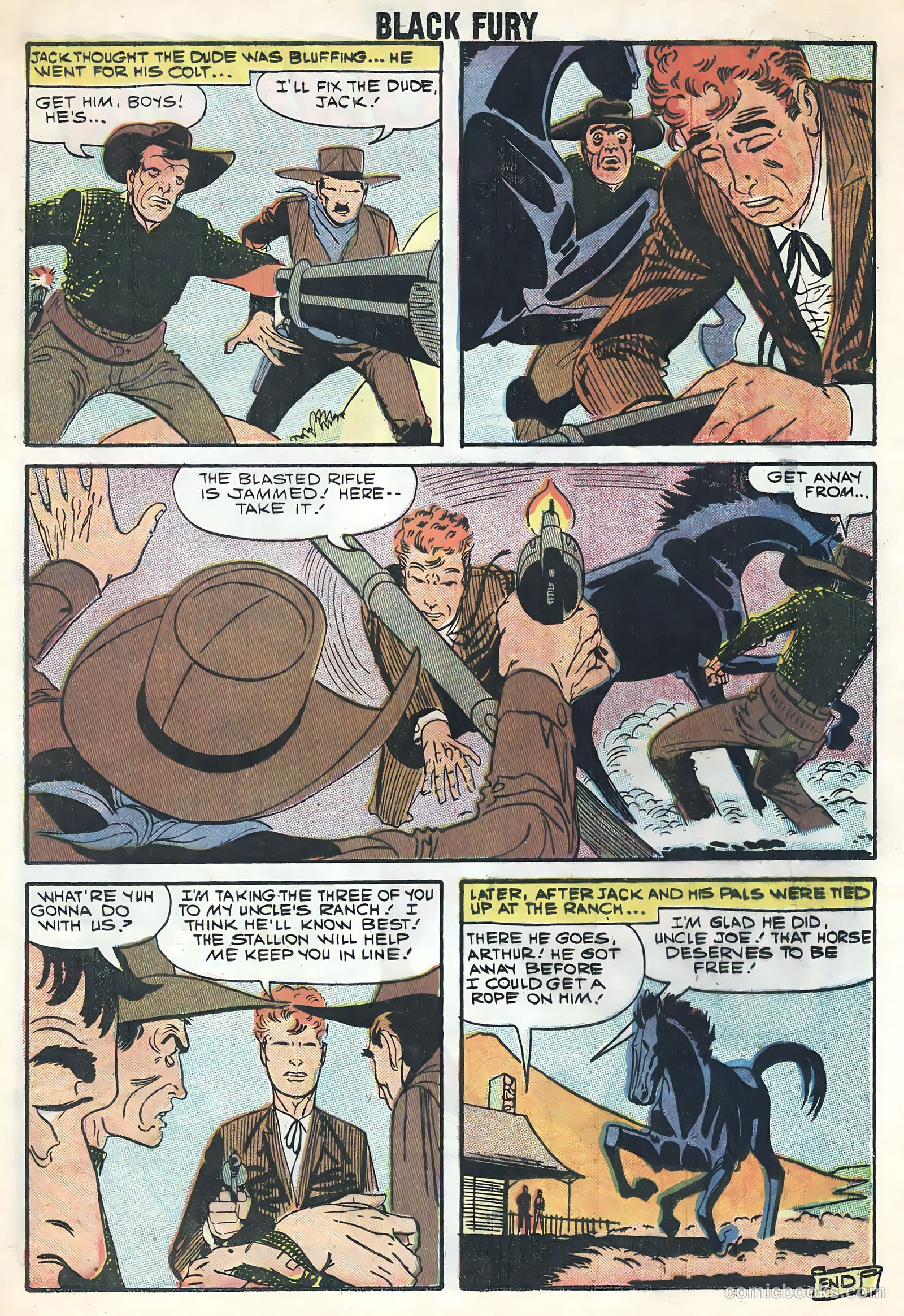 Black Fury #17 — page 13 of 36