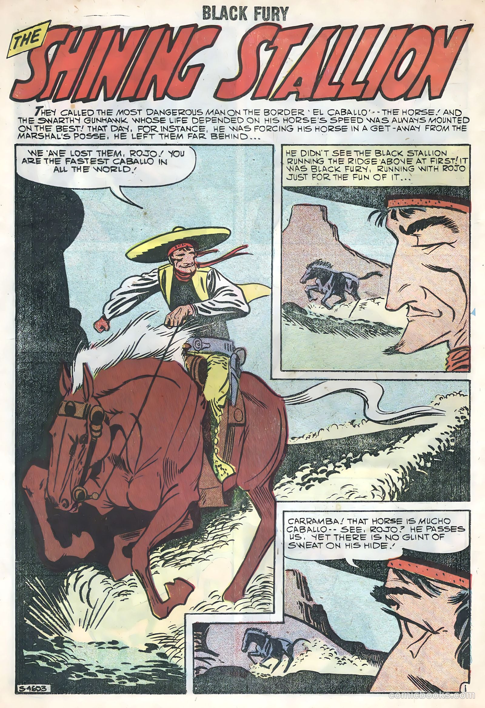 Black Fury #17 — page 14 of 36