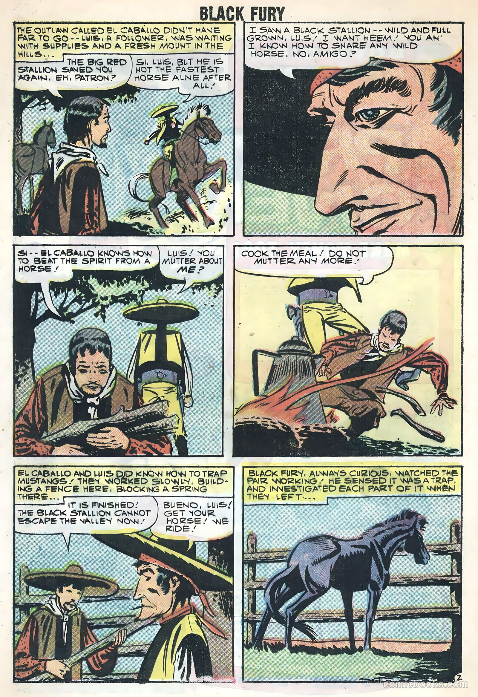 Black Fury #17 — page 16 of 36