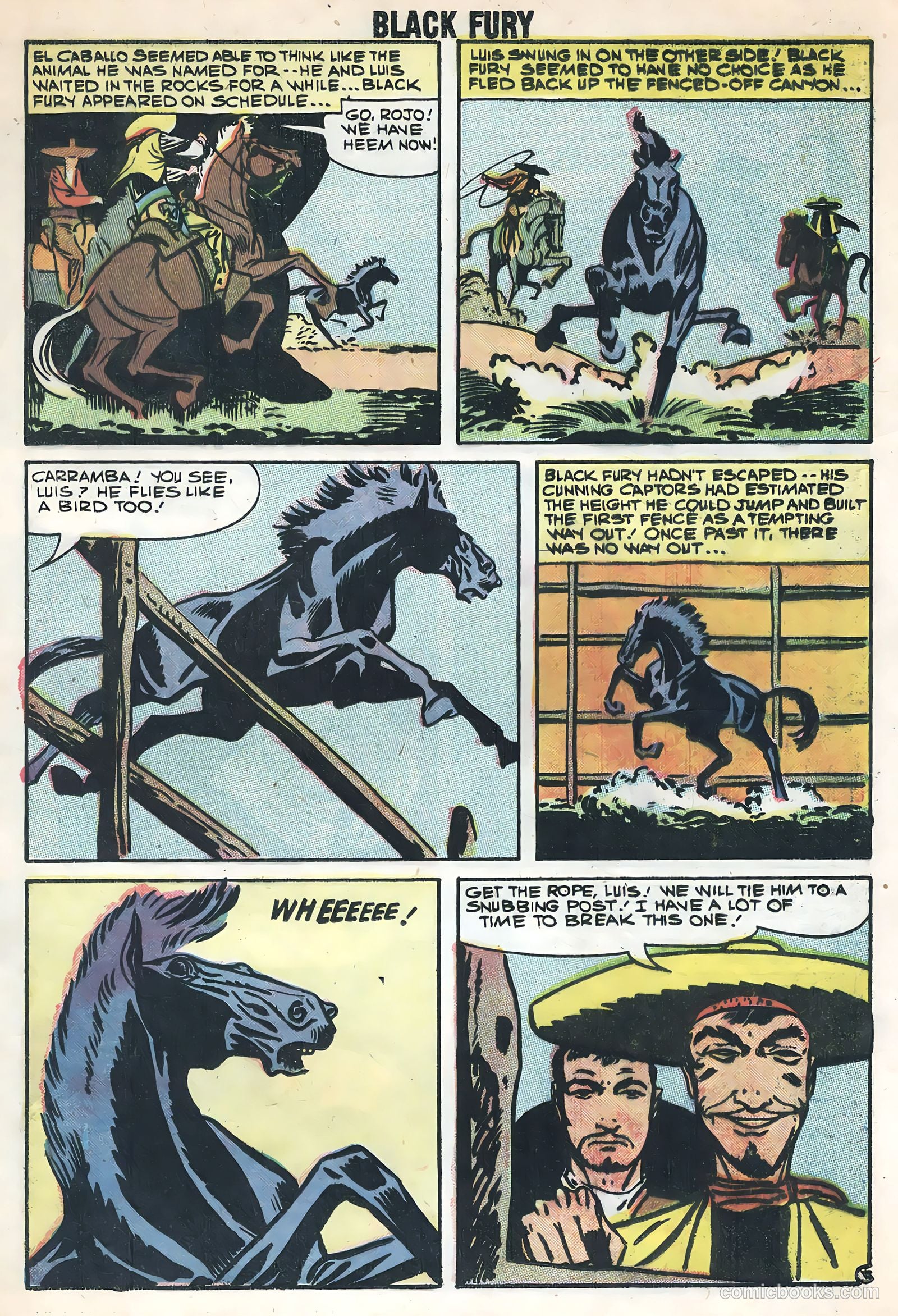 Black Fury #17 — page 17 of 36