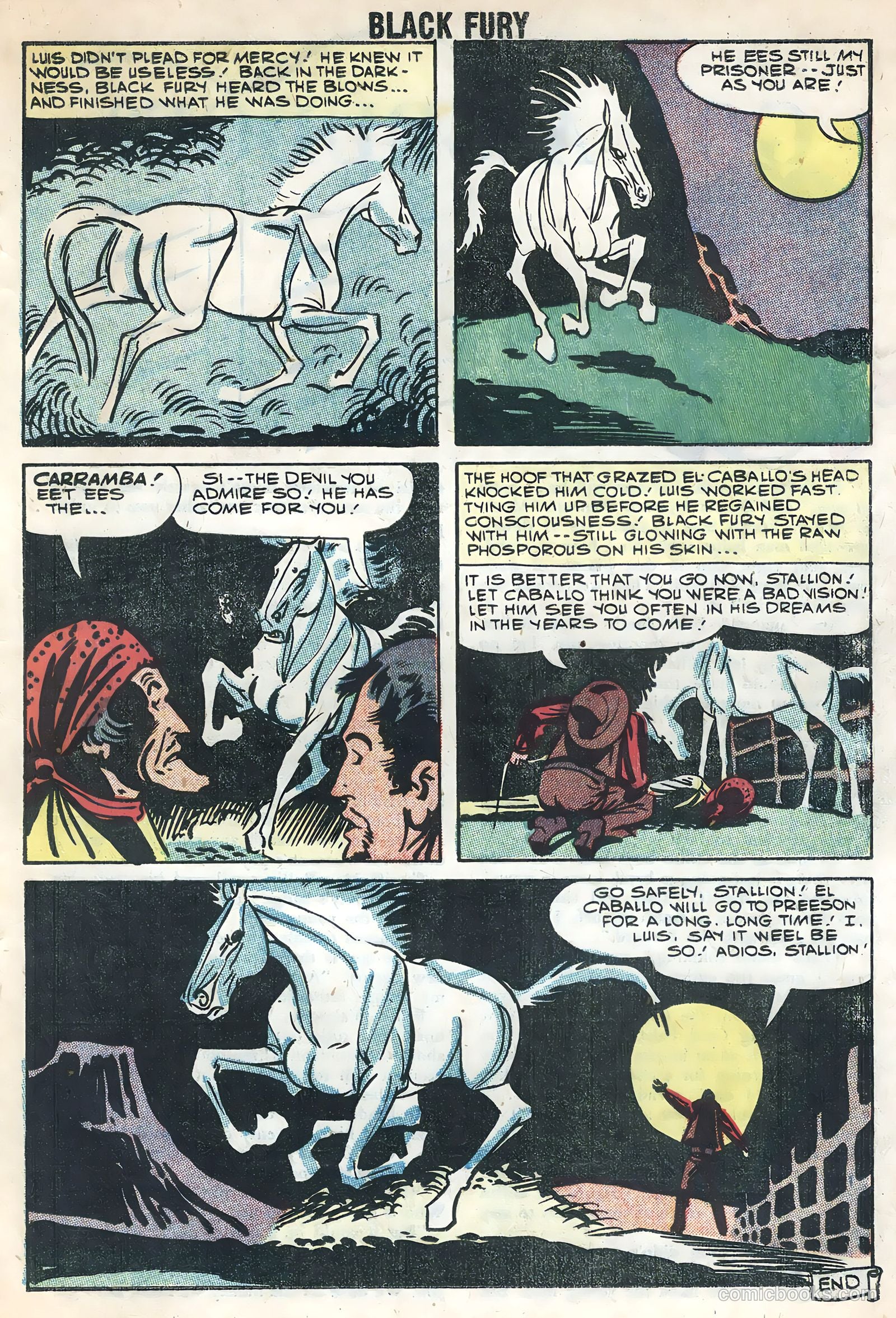 Black Fury #17 — page 19 of 36